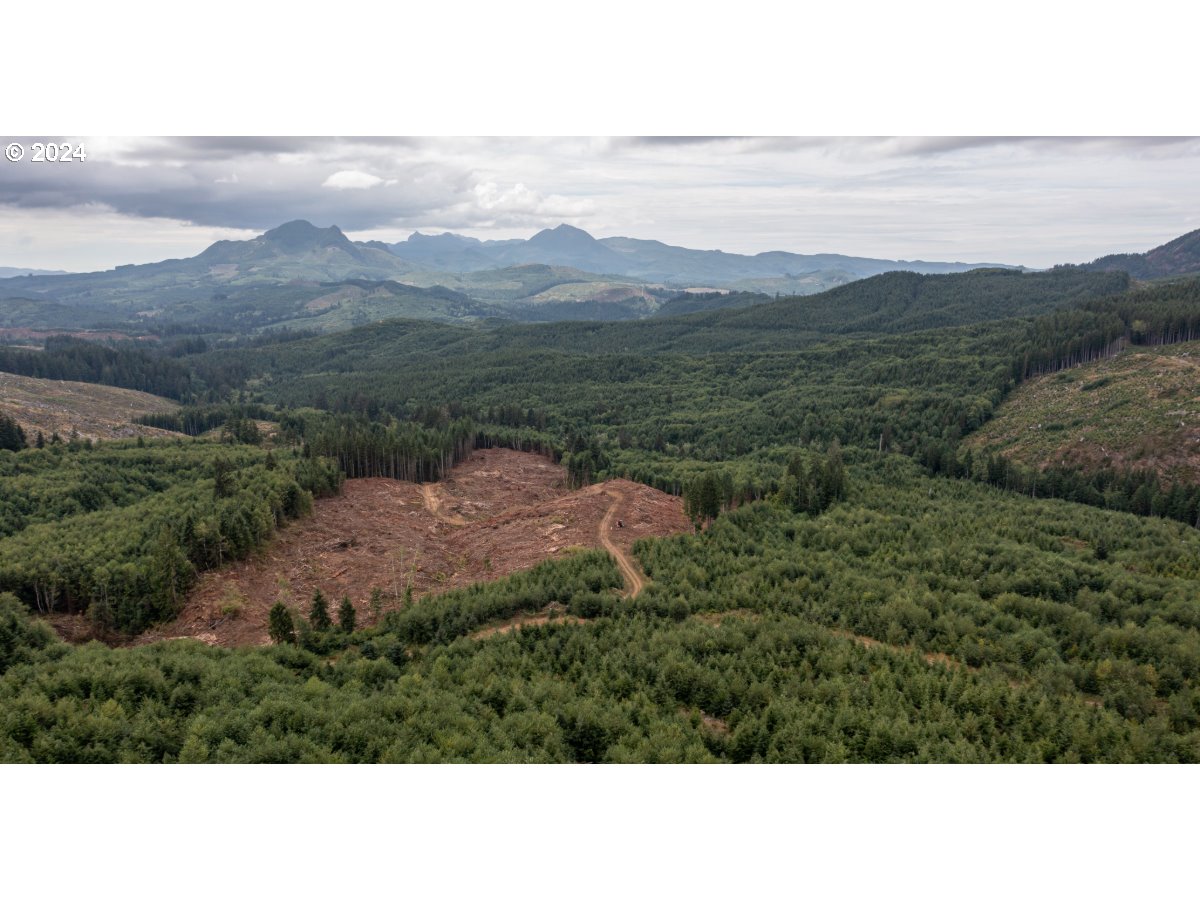0 Saddle Mountain Rd Property Photo 7
