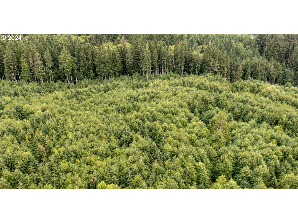 0 Saddle Mountain Rd Property Photo 8