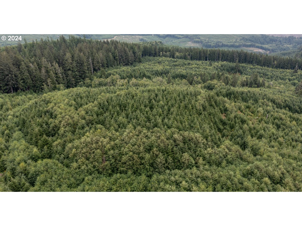 0 Saddle Mountain Rd Property Photo 9