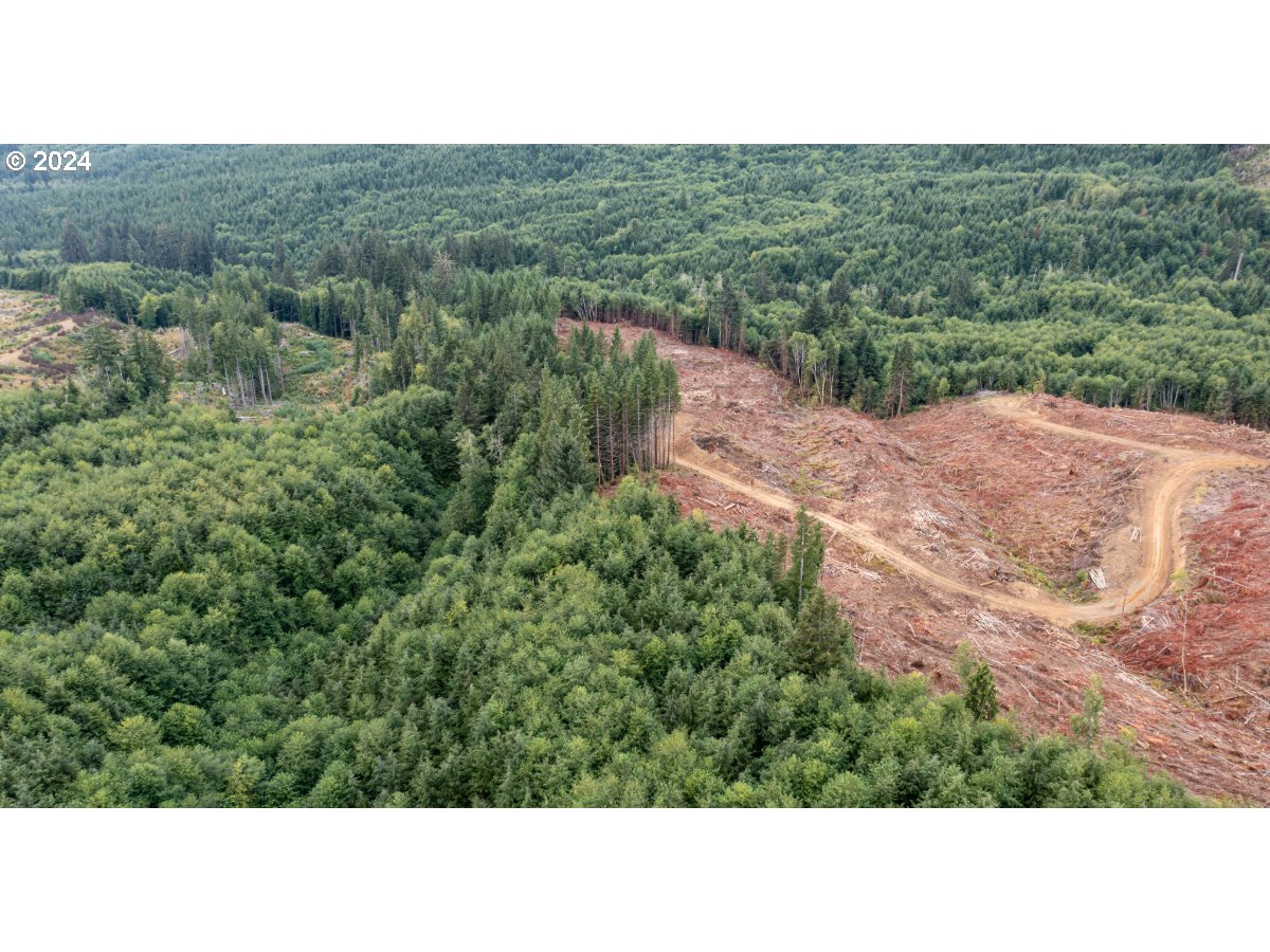 0 Saddle Mountain Rd Property Photo 10