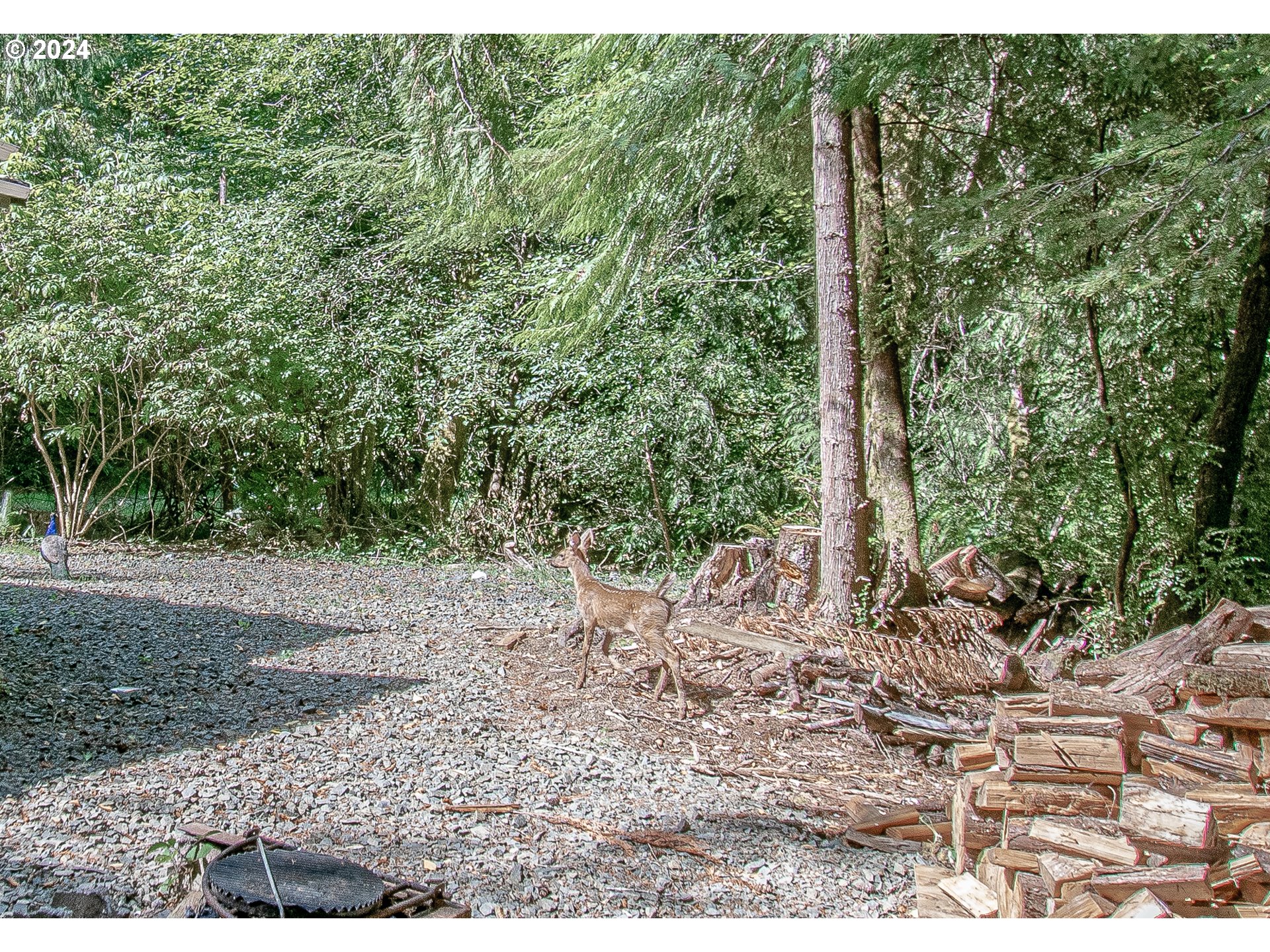 96455 Blocks Shady Ln Property Photo 8