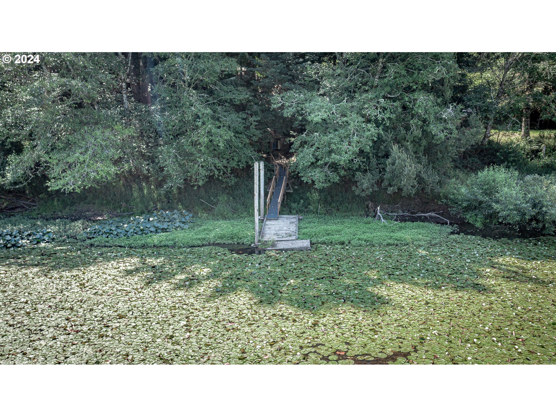 96455 Blocks Shady Ln Property Photo 39
