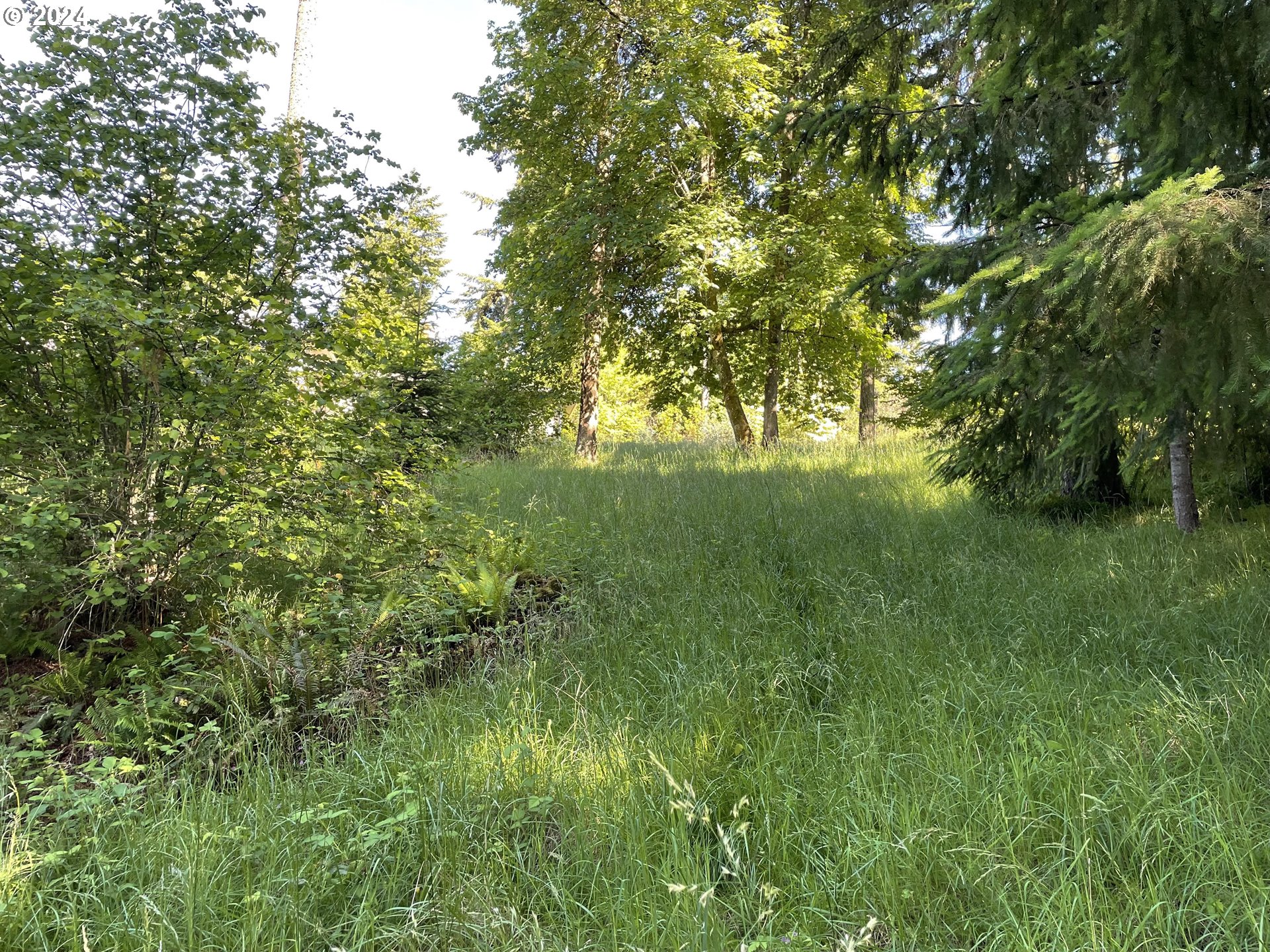 Why Worry Lane Property Photo 5