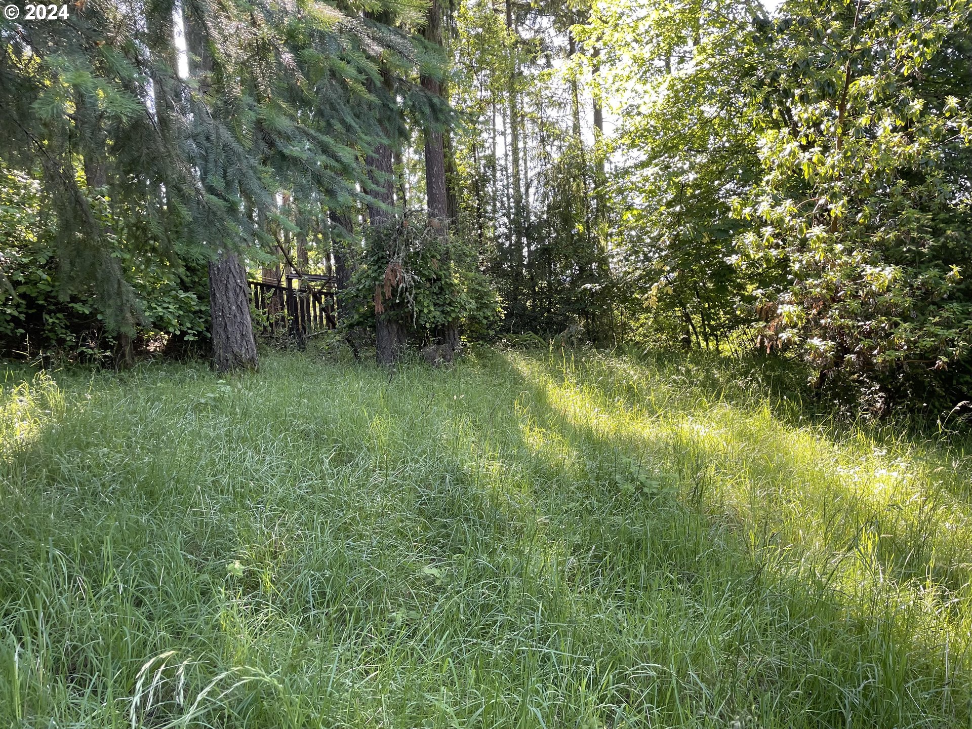 Why Worry Lane Property Photo 10