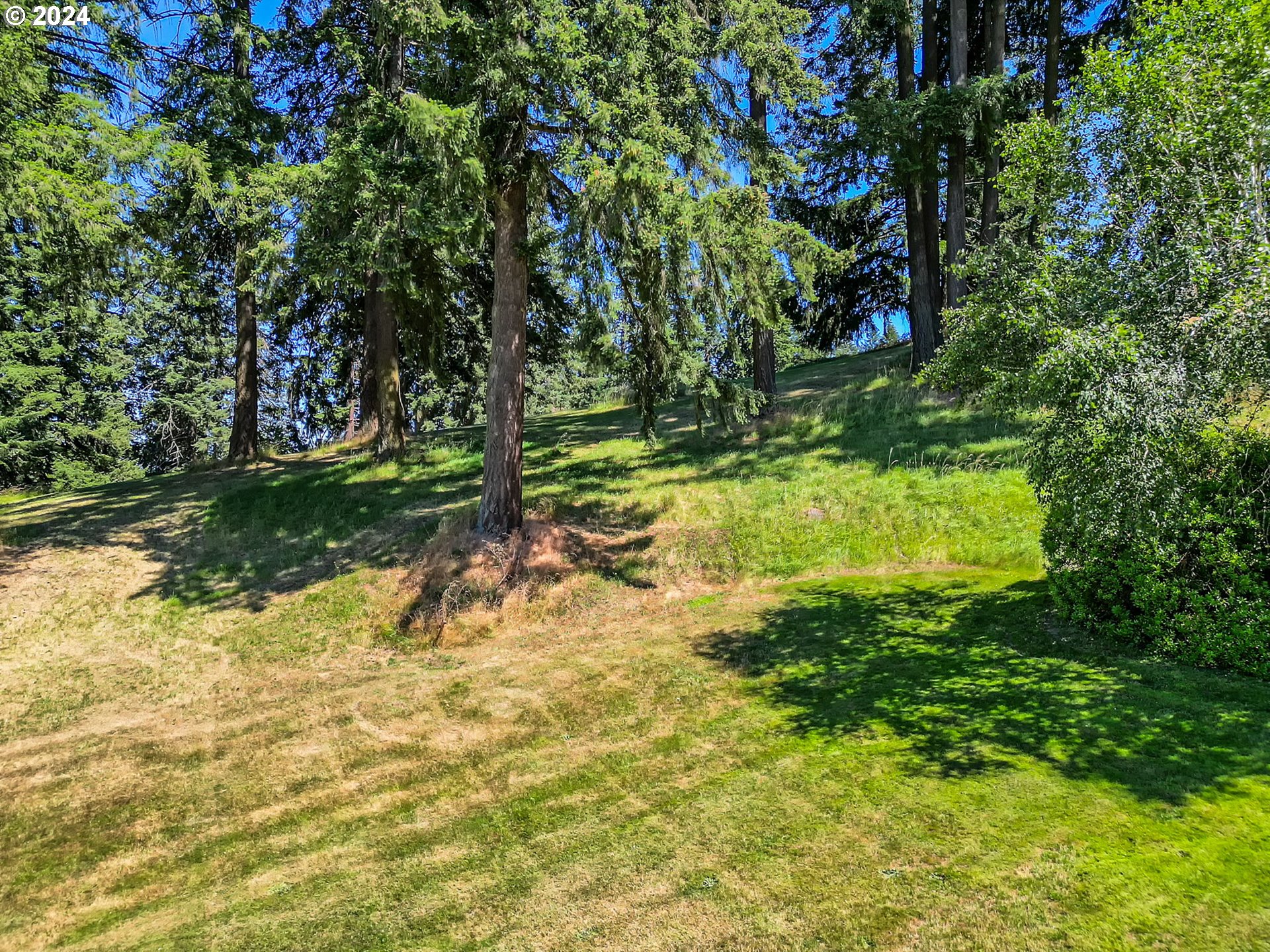 Mclean Blvd Property Photo 4