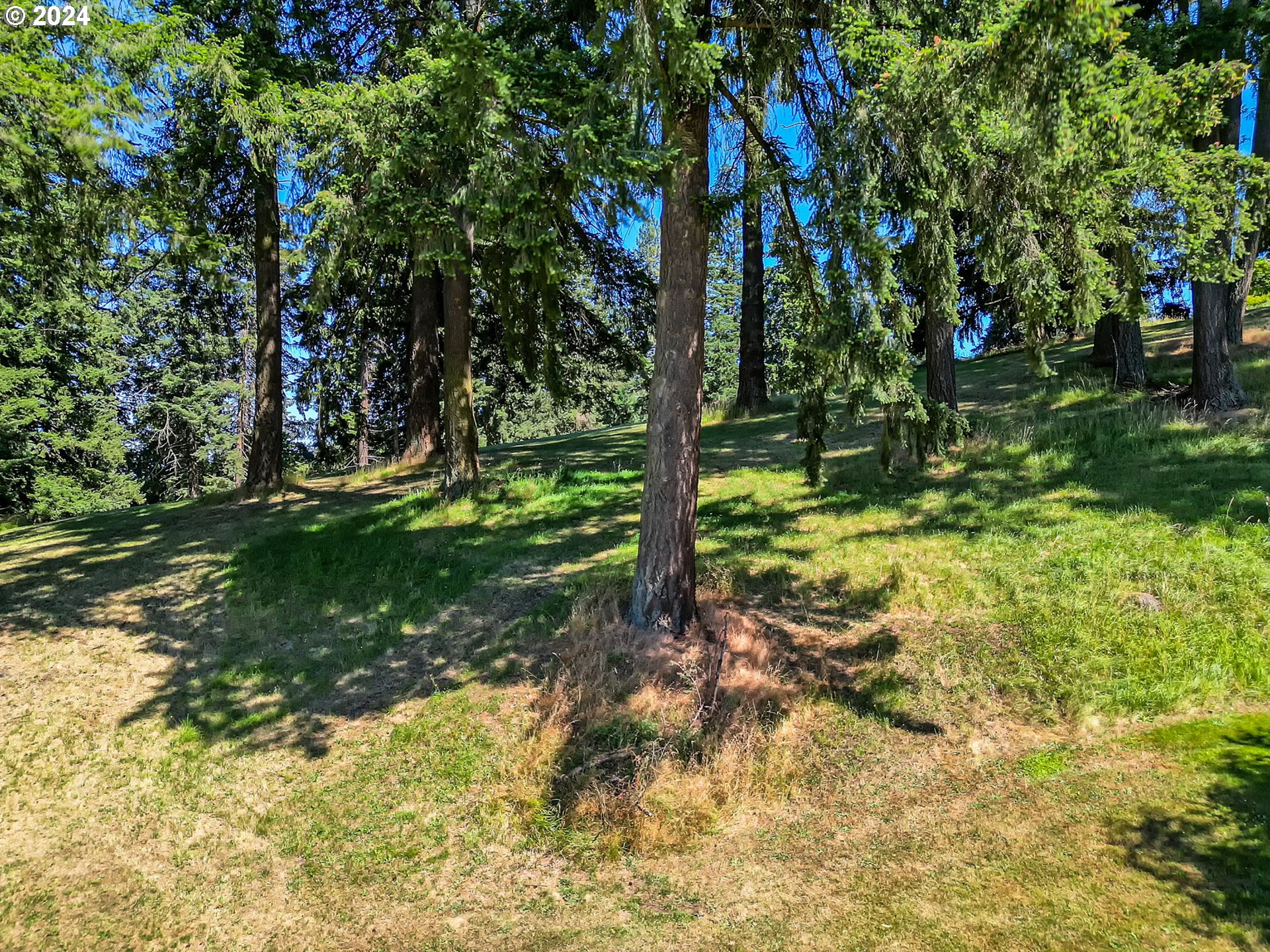 Mclean Blvd Property Photo 5
