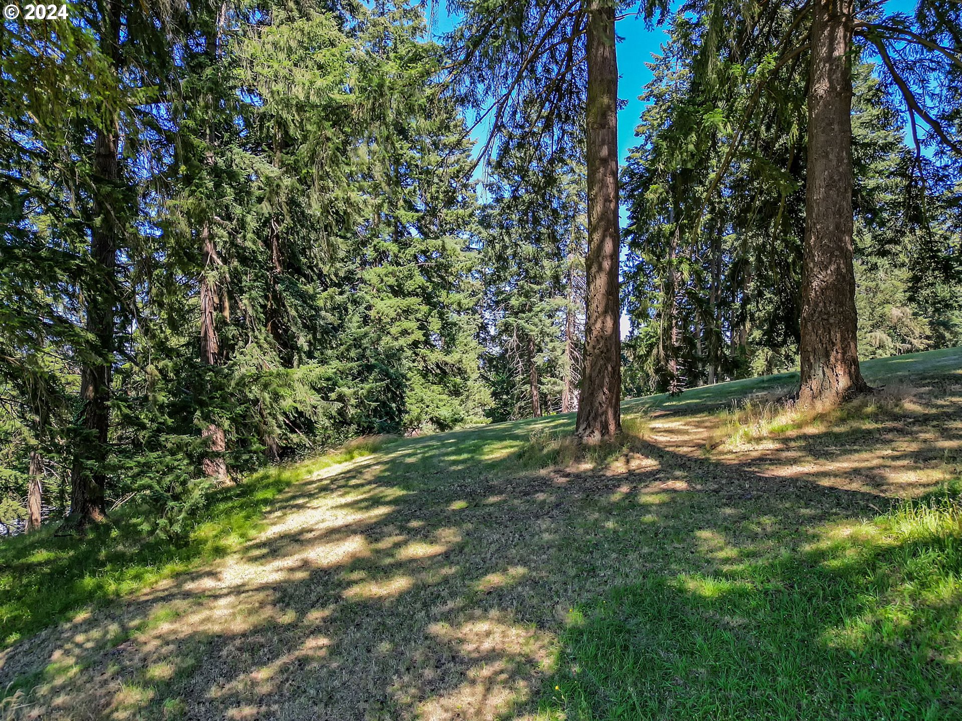 Mclean Blvd Property Photo 7