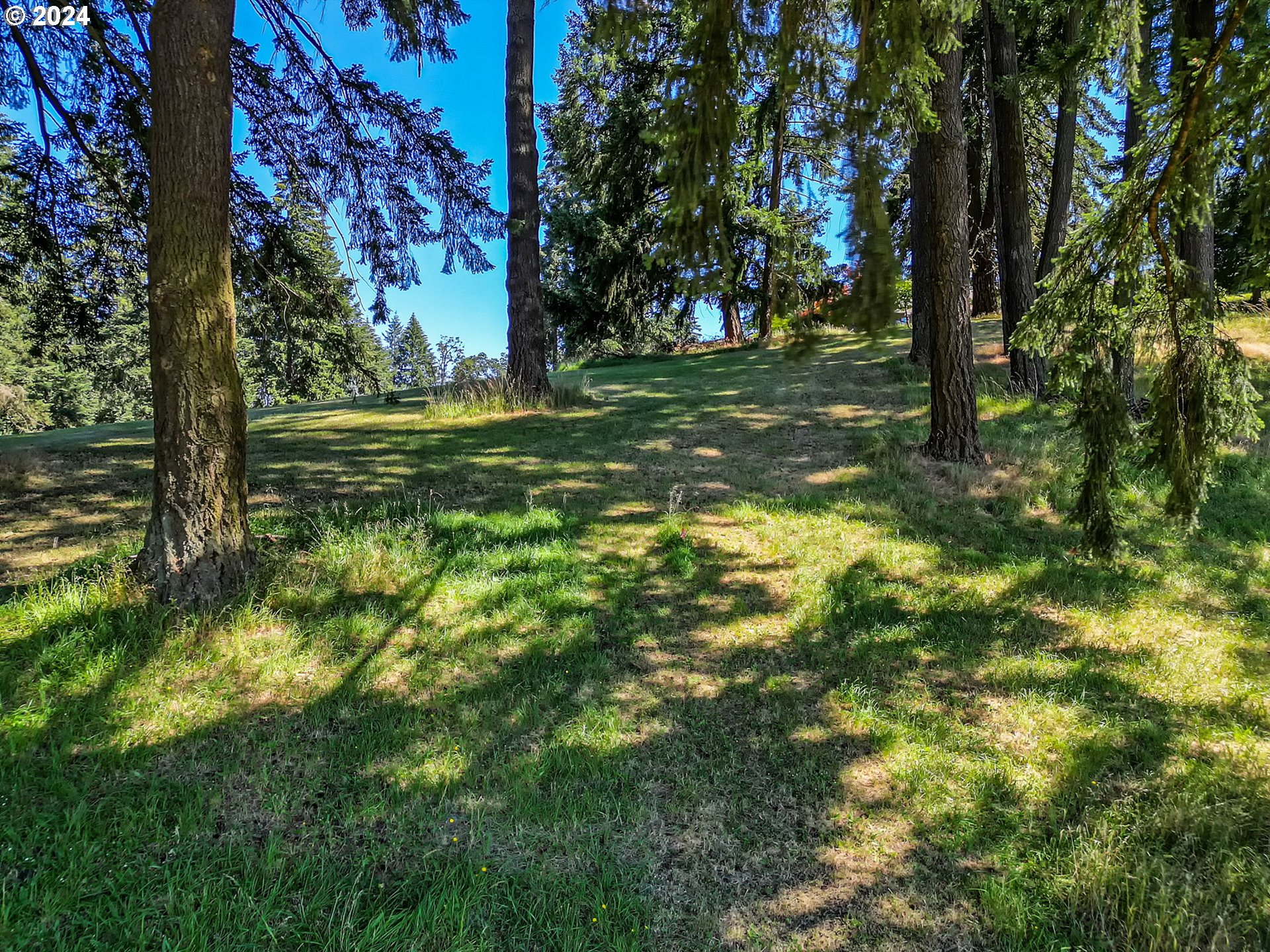 Mclean Blvd Property Photo 13