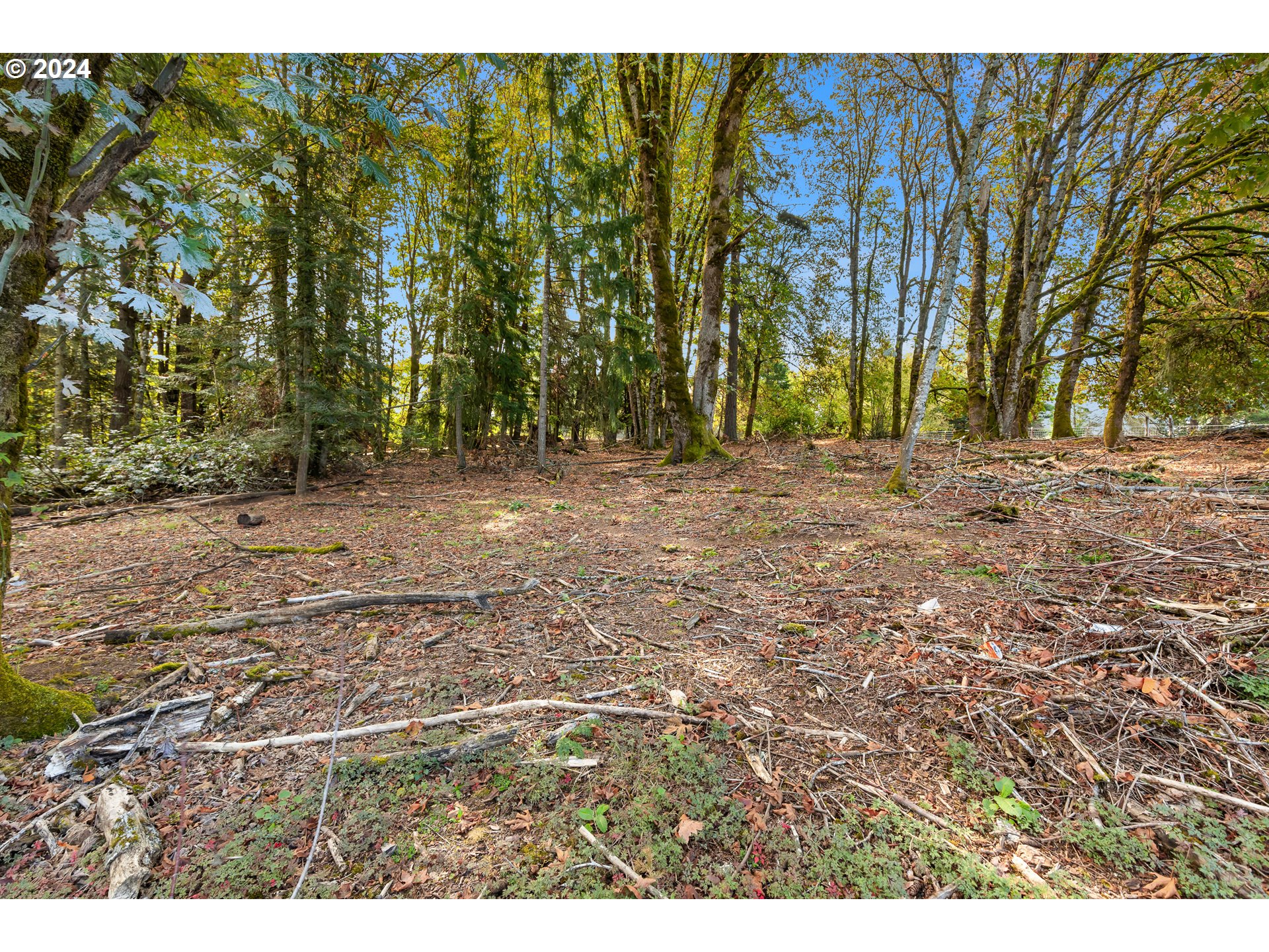 16370 Bell St Property Photo 32
