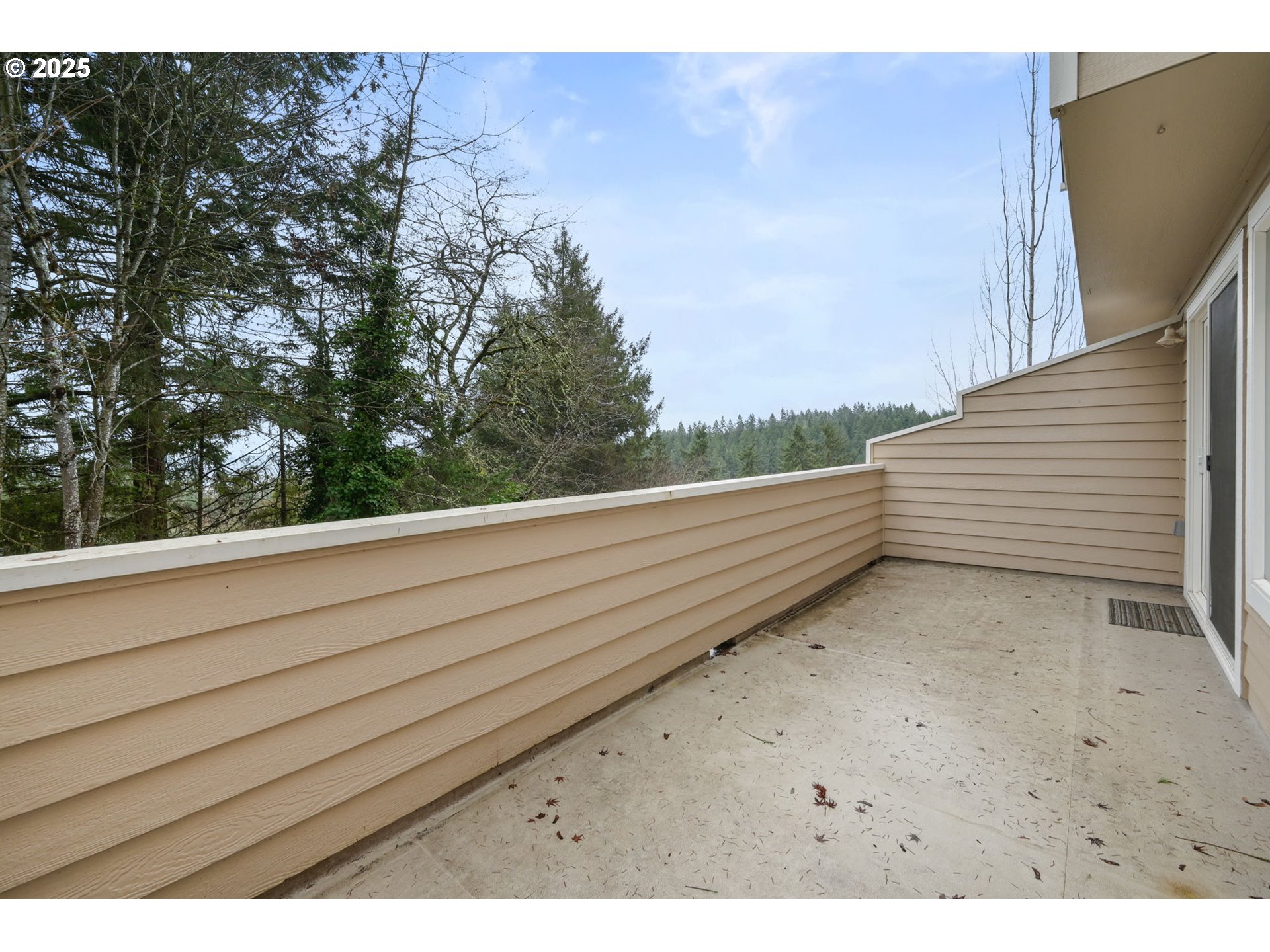 3812 Colony Oaks Dr Property Photo 19