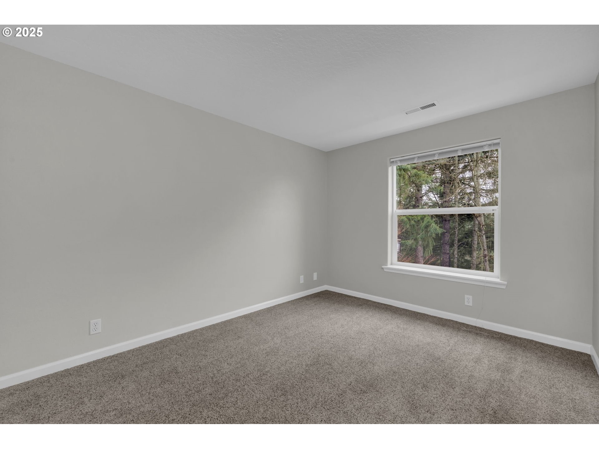 3812 Colony Oaks Dr Property Photo 32