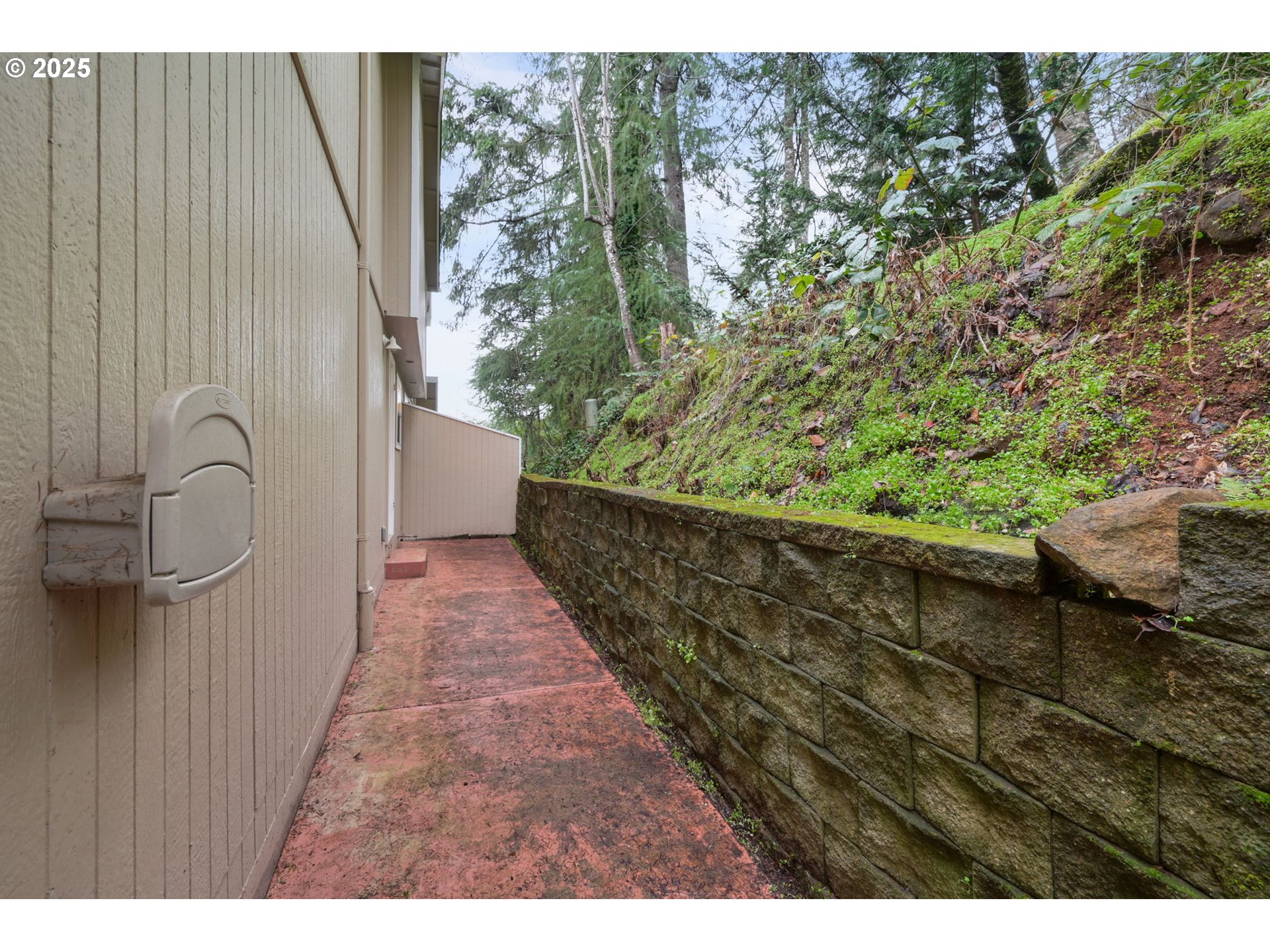 3812 Colony Oaks Dr Property Photo 35