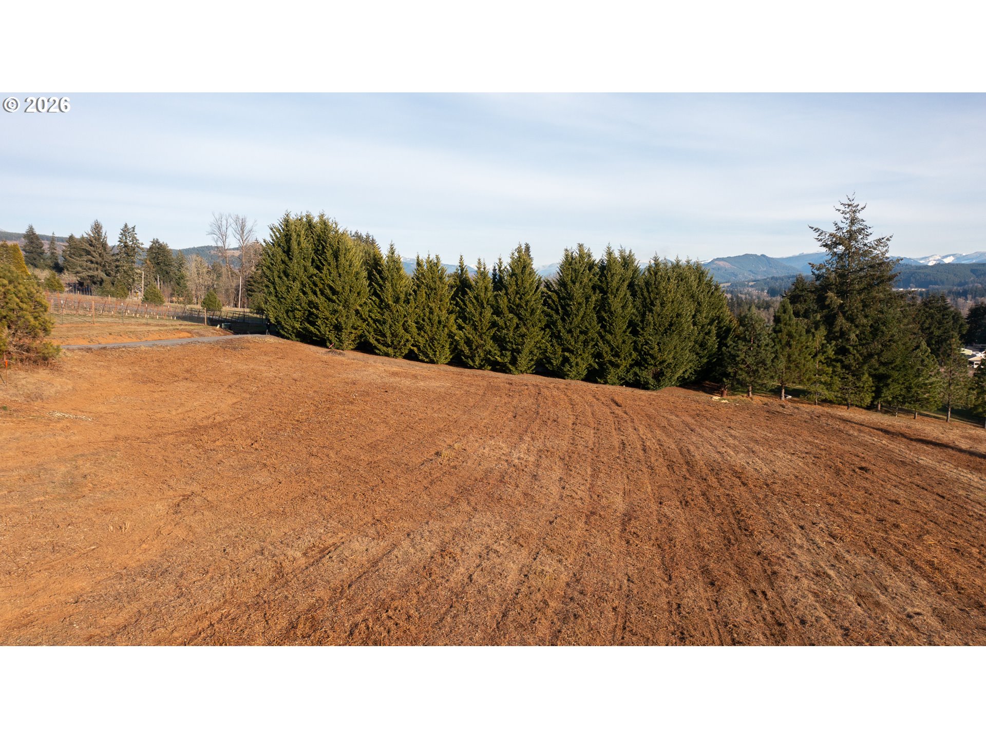 0 (tl 207) Ridgeview Ln Property Photo 9