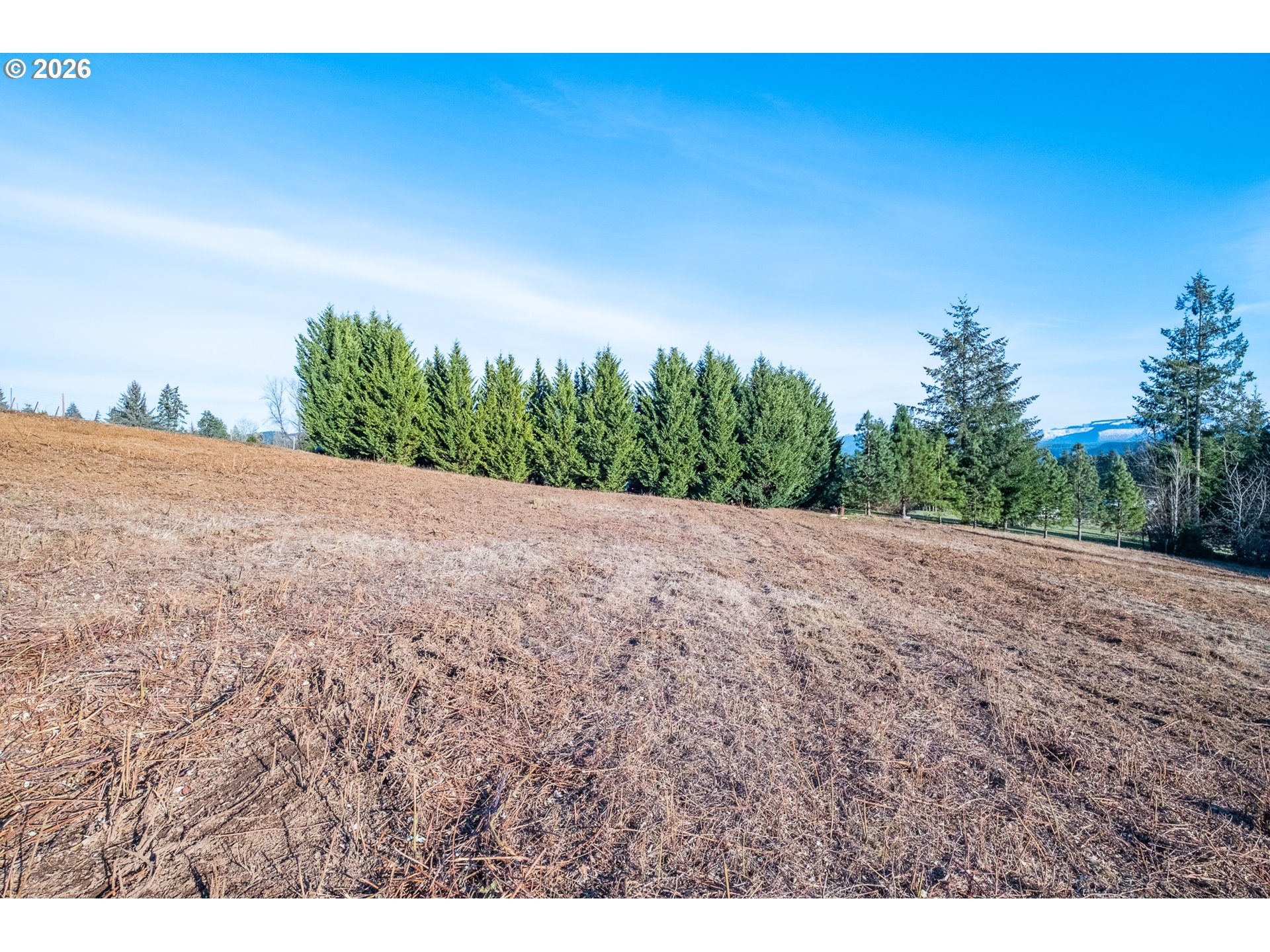 0 (tl 207) Ridgeview Ln Property Photo 14