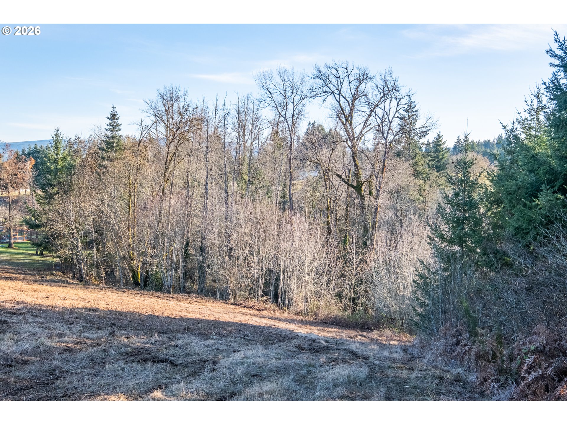 0 (tl 207) Ridgeview Ln Property Photo 16