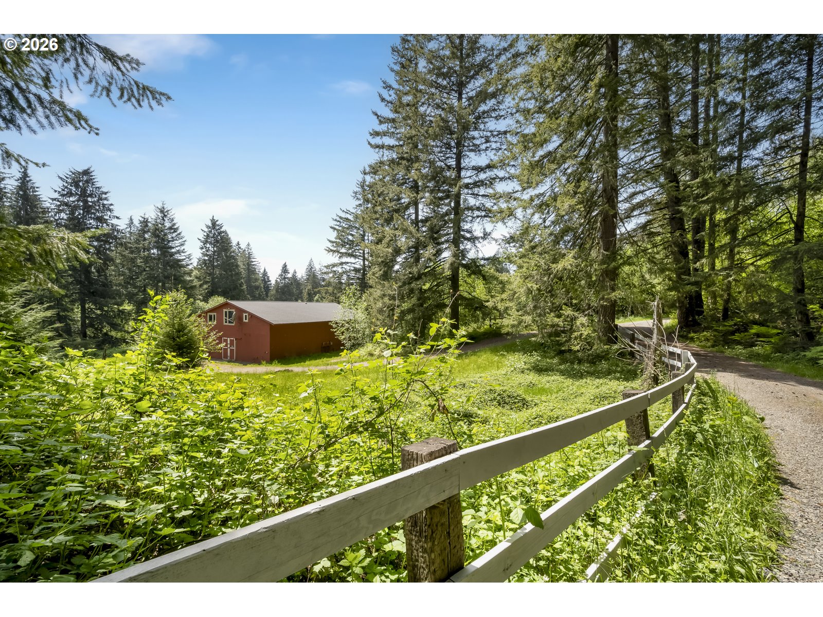 45900 E Haines Rd Property Photo 28