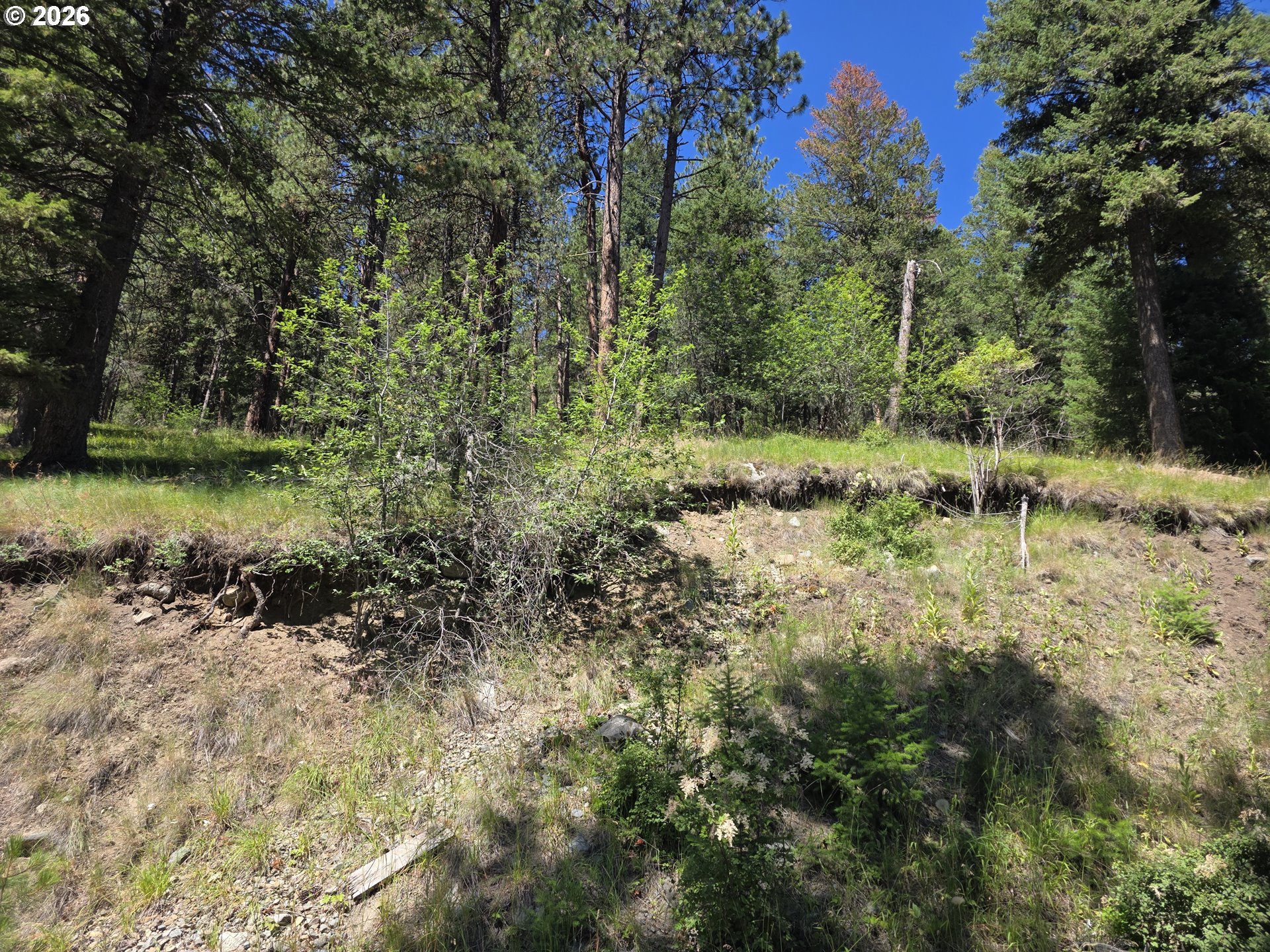 61290 Lake Shore Rd Property Photo 1