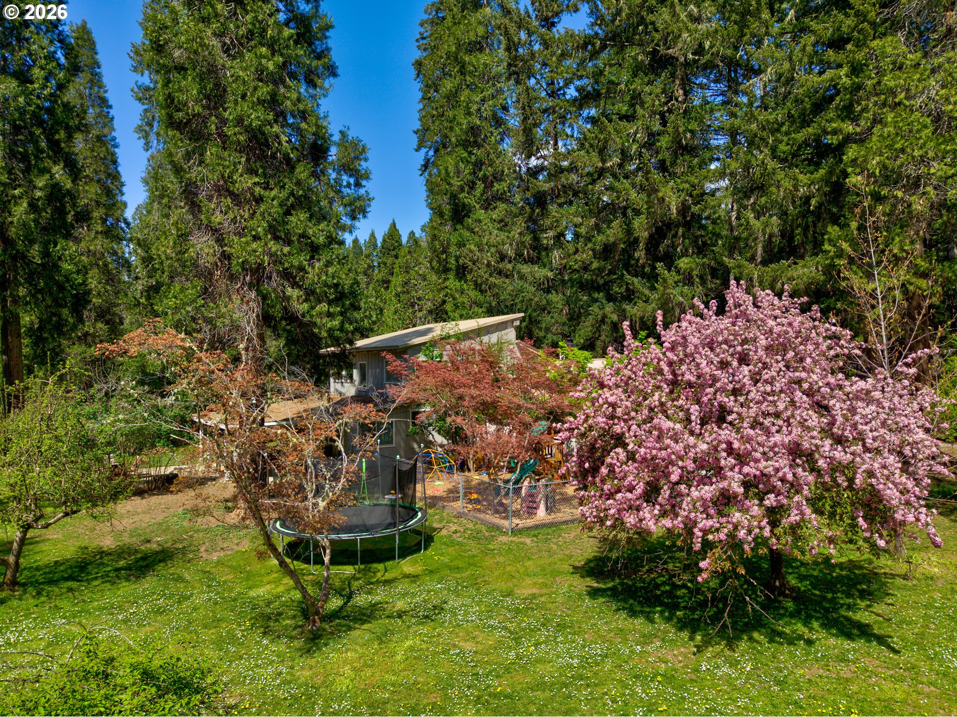1293 Starveout Creek Rd Property Photo 43