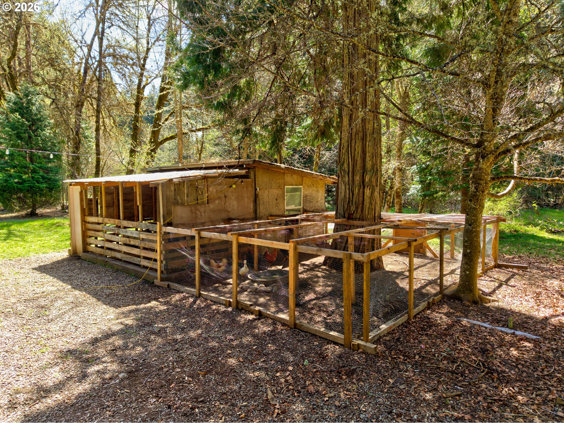 1293 Starveout Creek Rd Property Photo 45