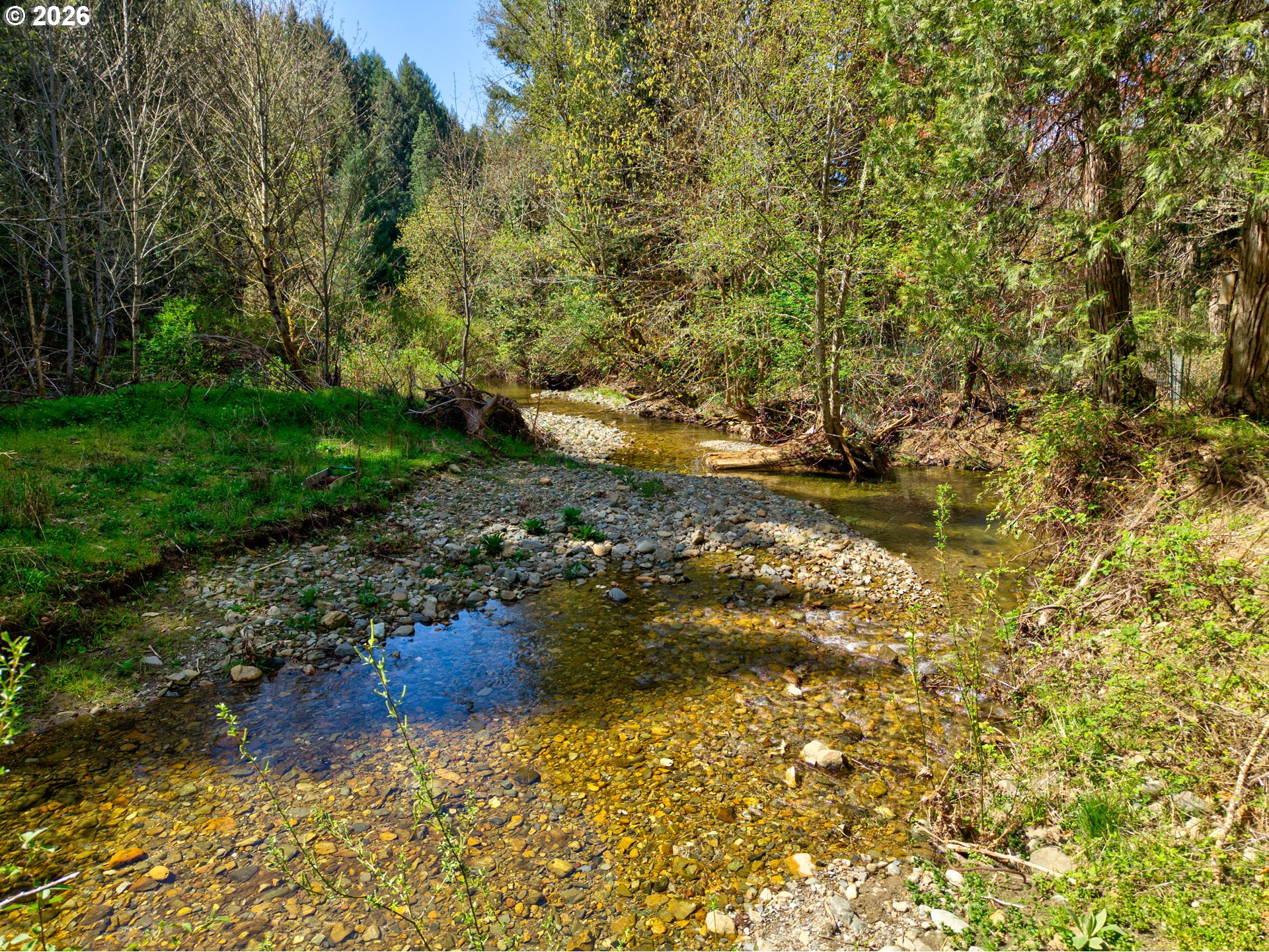 1293 Starveout Creek Rd Property Photo 46