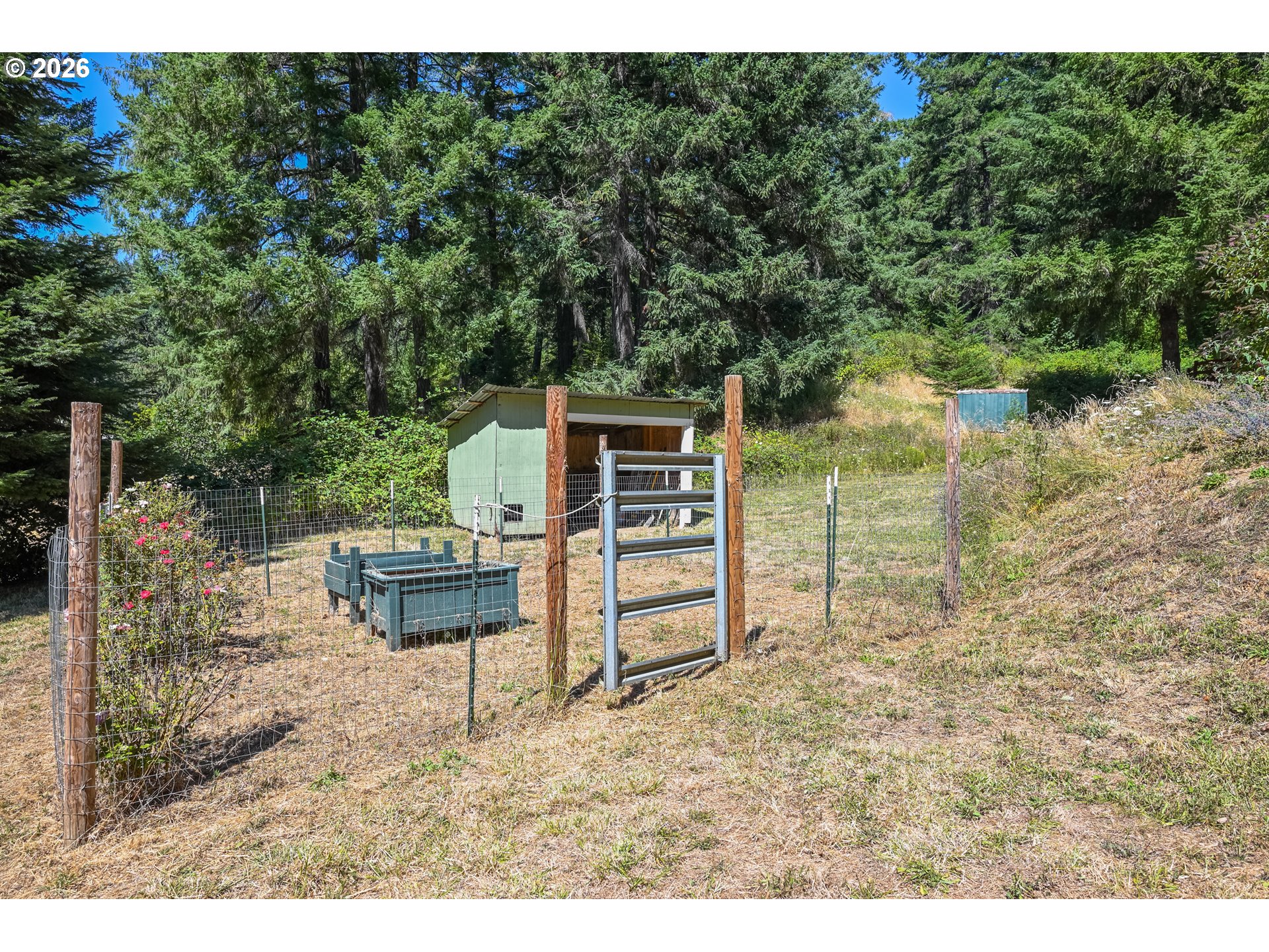 295 Wolf Valley Dr Property Photo 30