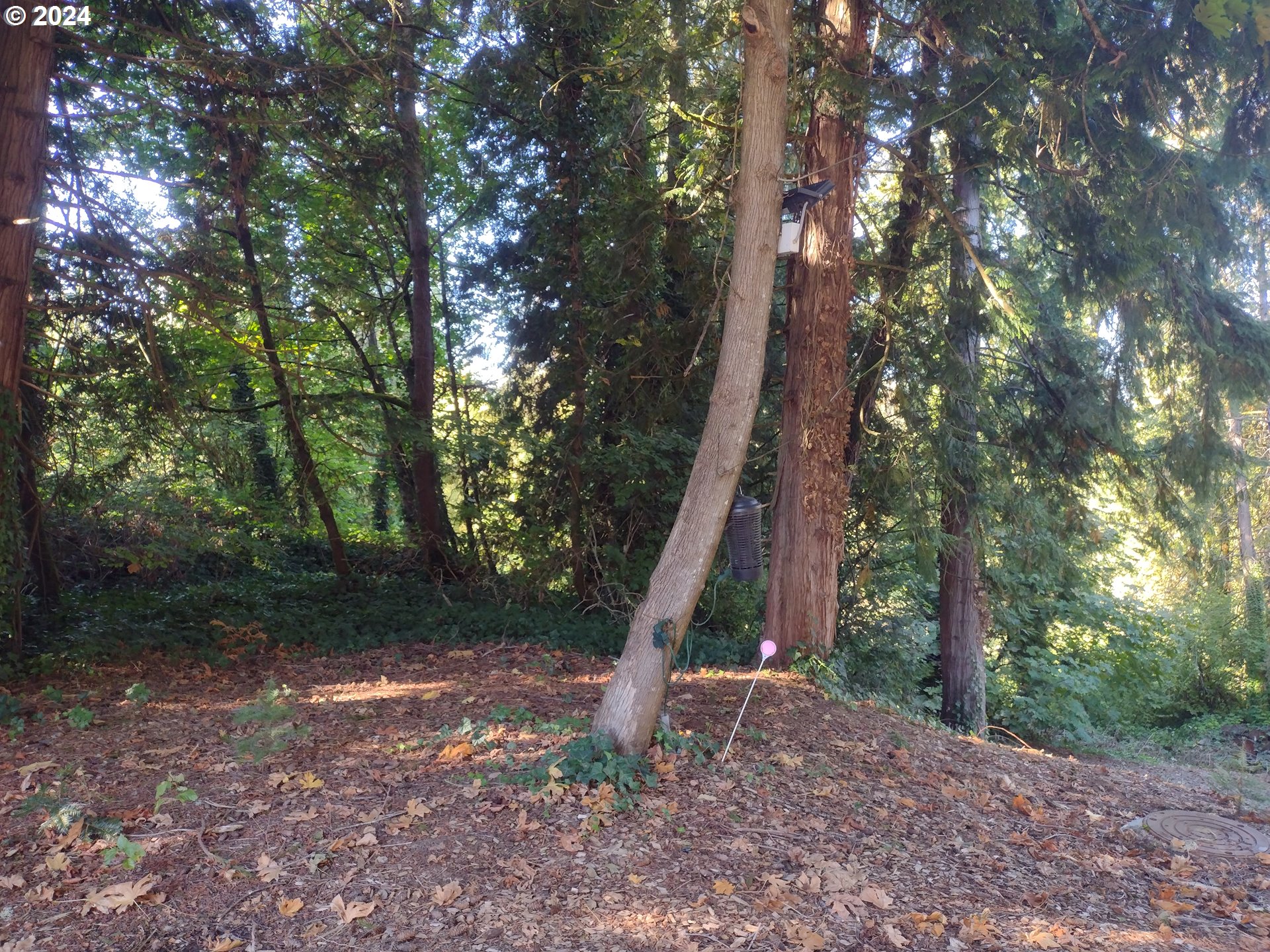 Se 59th Ct Property Photo 5