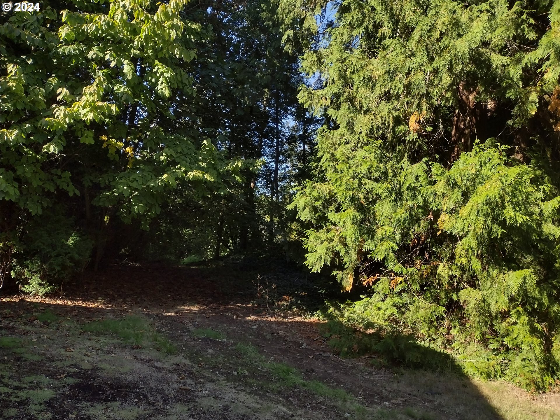Se 59th Ct Property Photo 6
