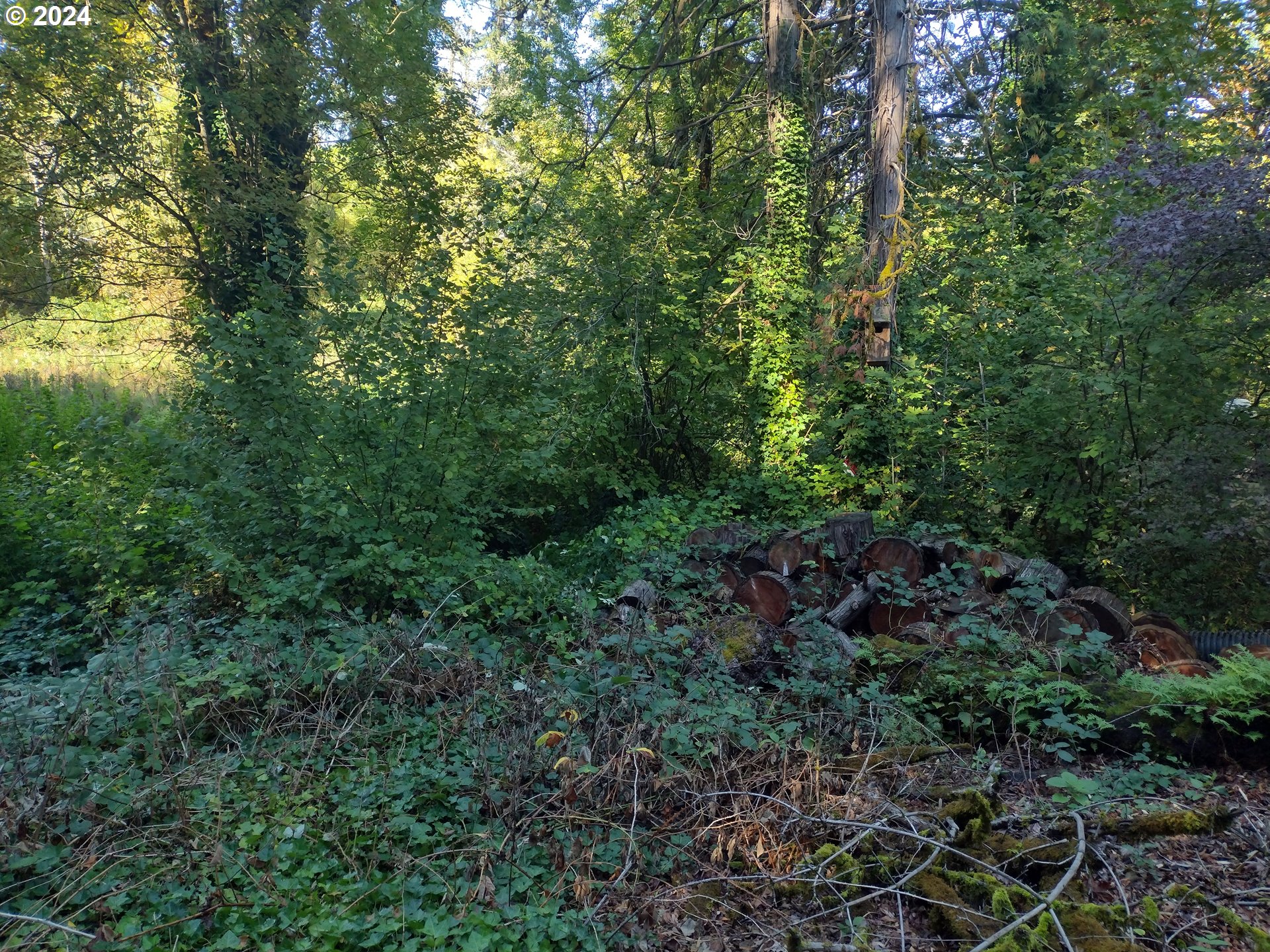Se 59th Ct Property Photo 7