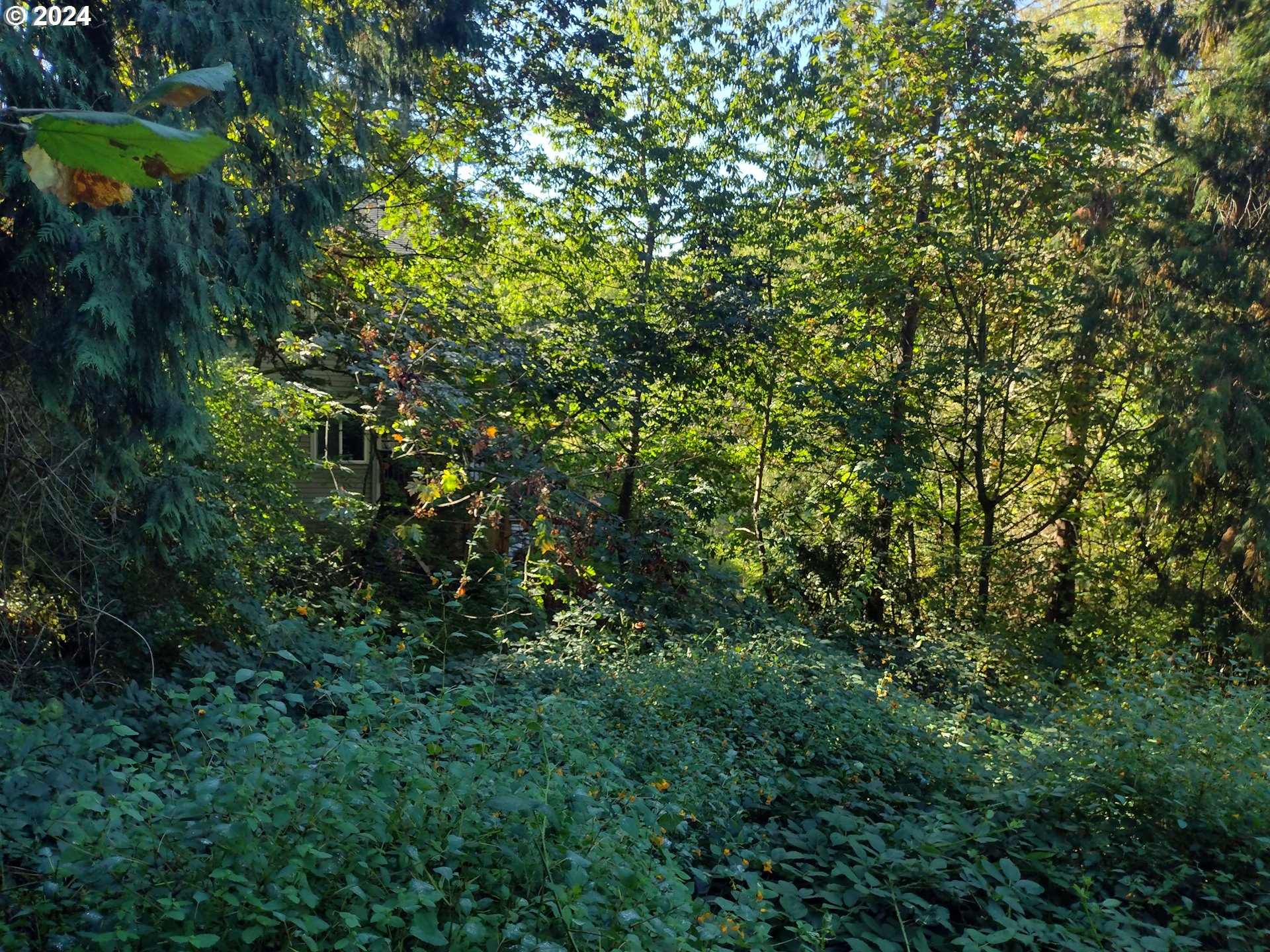 Se 59th Ct Property Photo 12