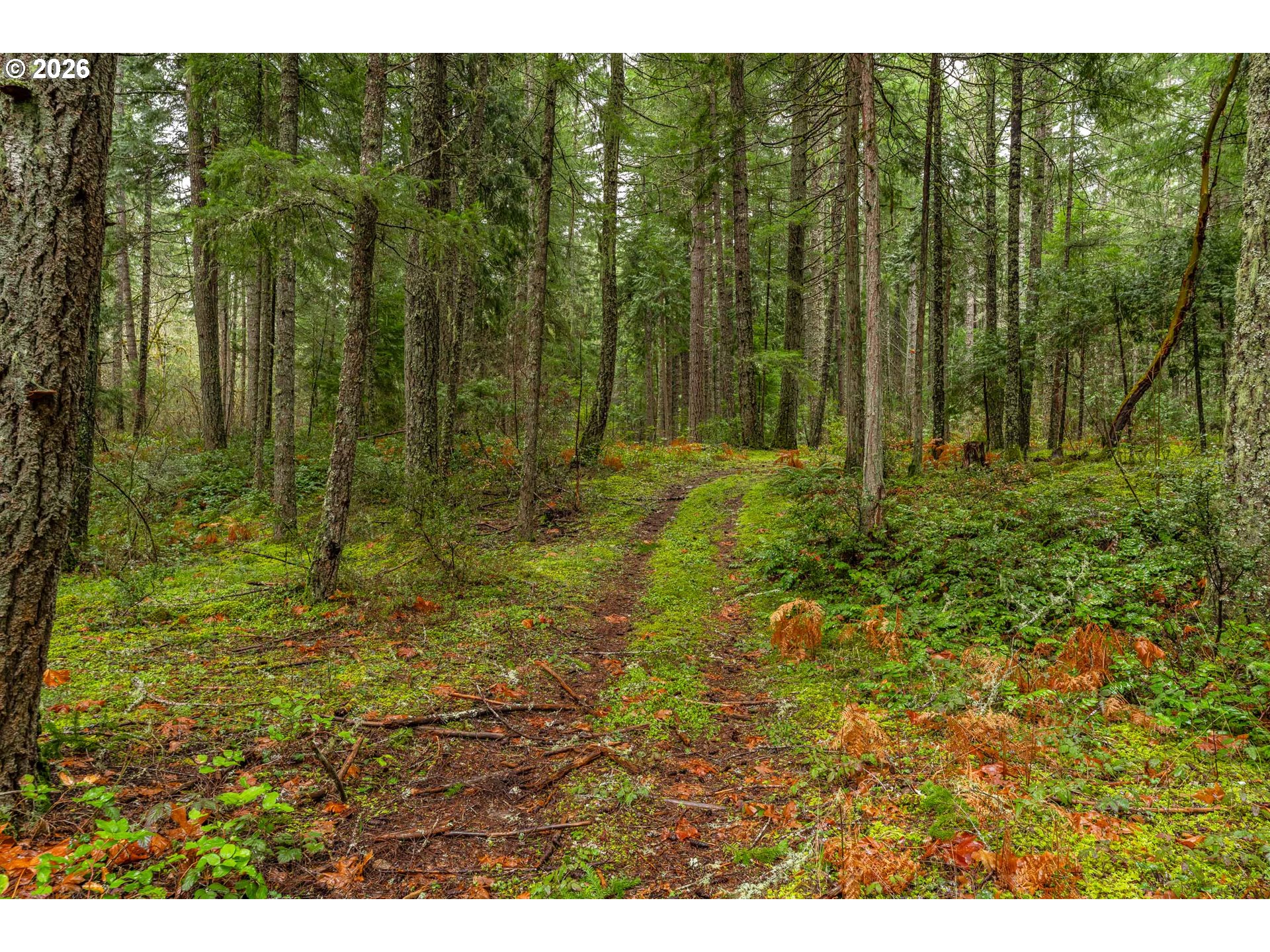 Upper Cow Creek Rd Property Photo 6