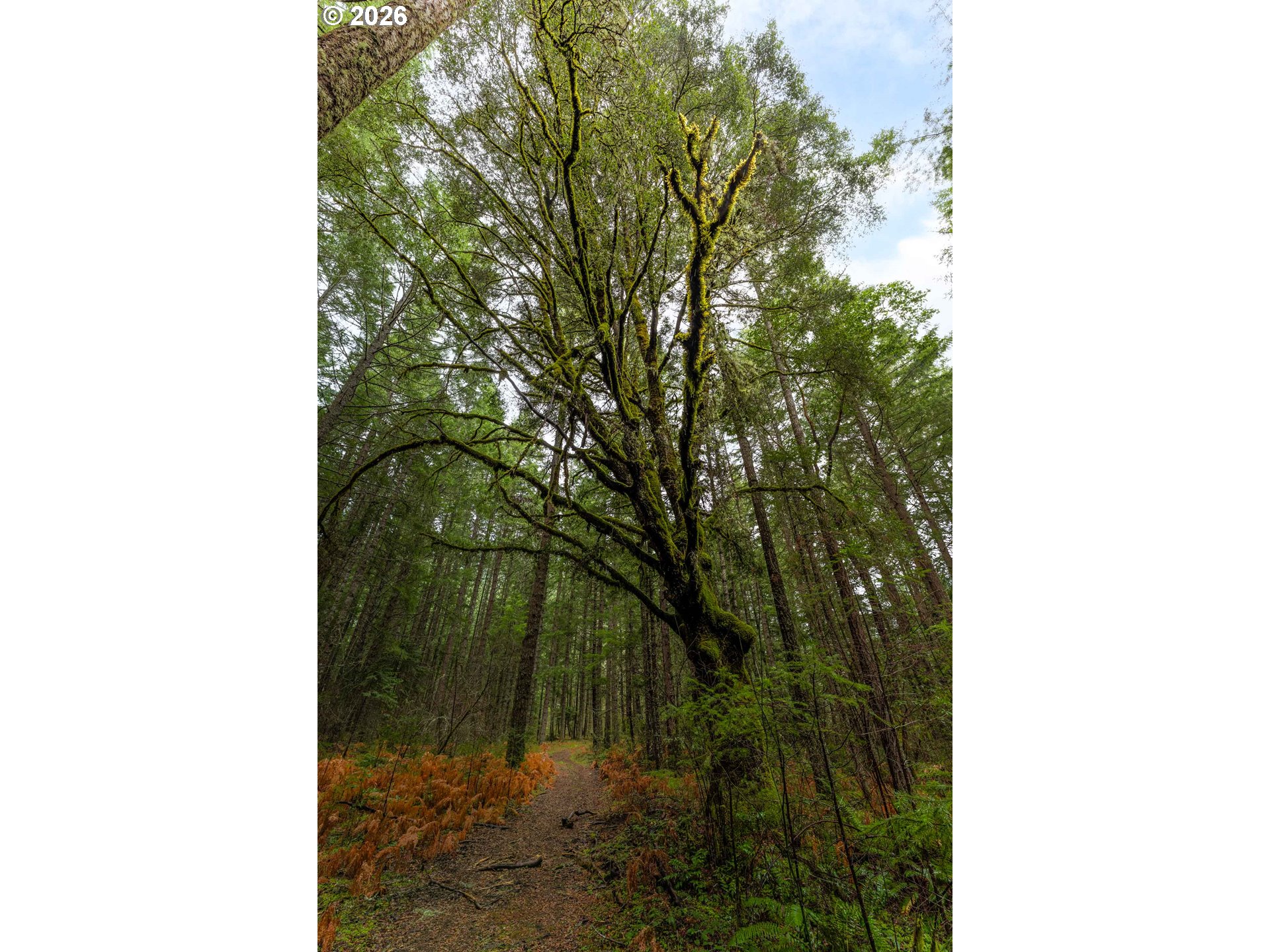 Upper Cow Creek Rd Property Photo 8