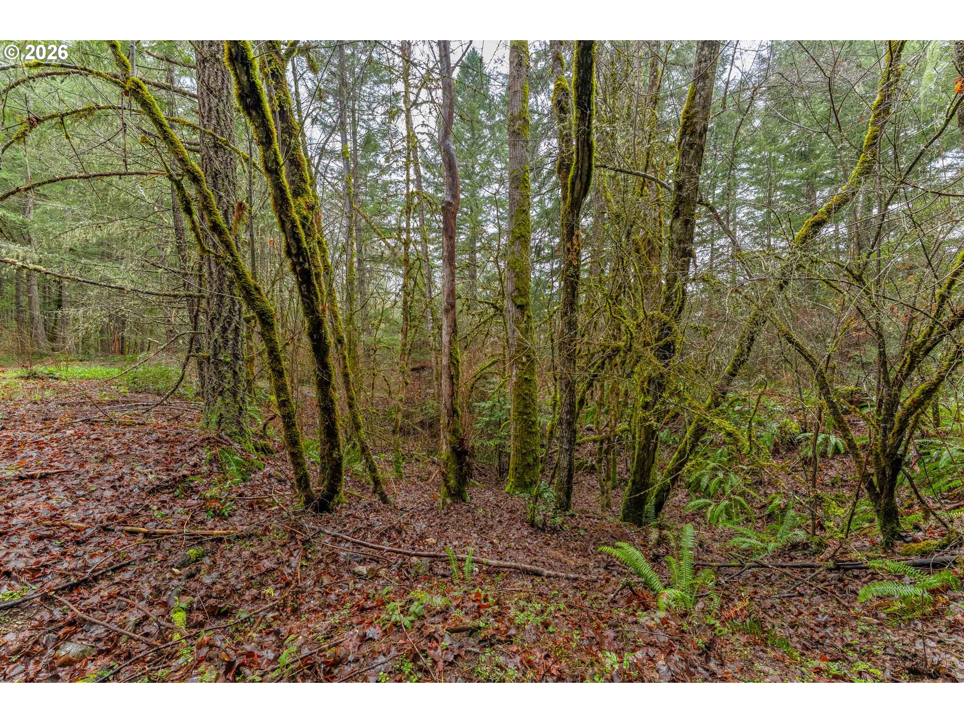 Upper Cow Creek Rd Property Photo 9