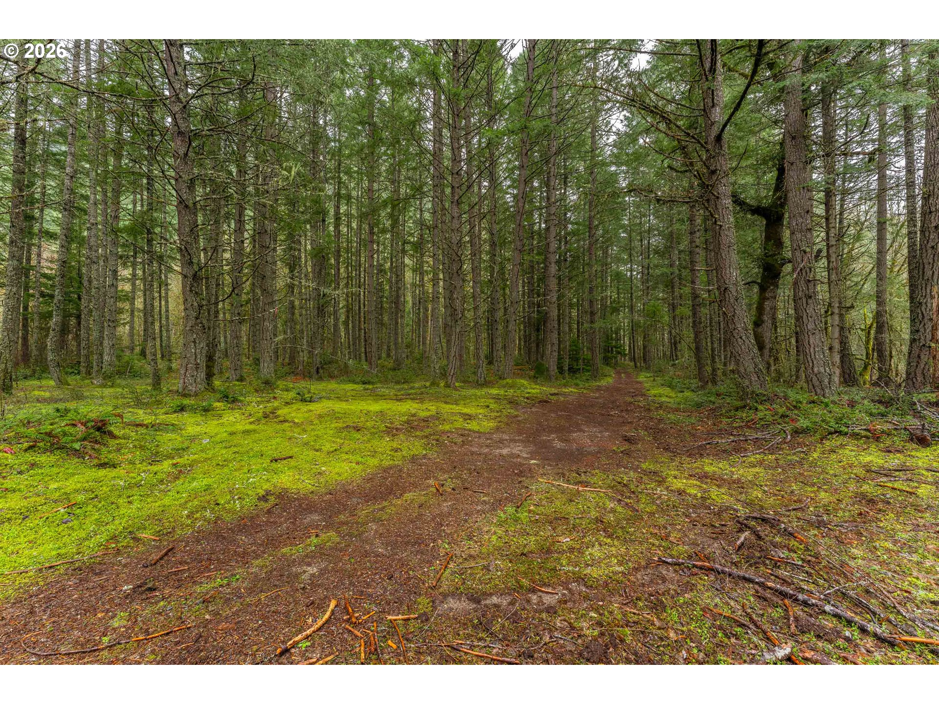 Upper Cow Creek Rd Property Photo 10