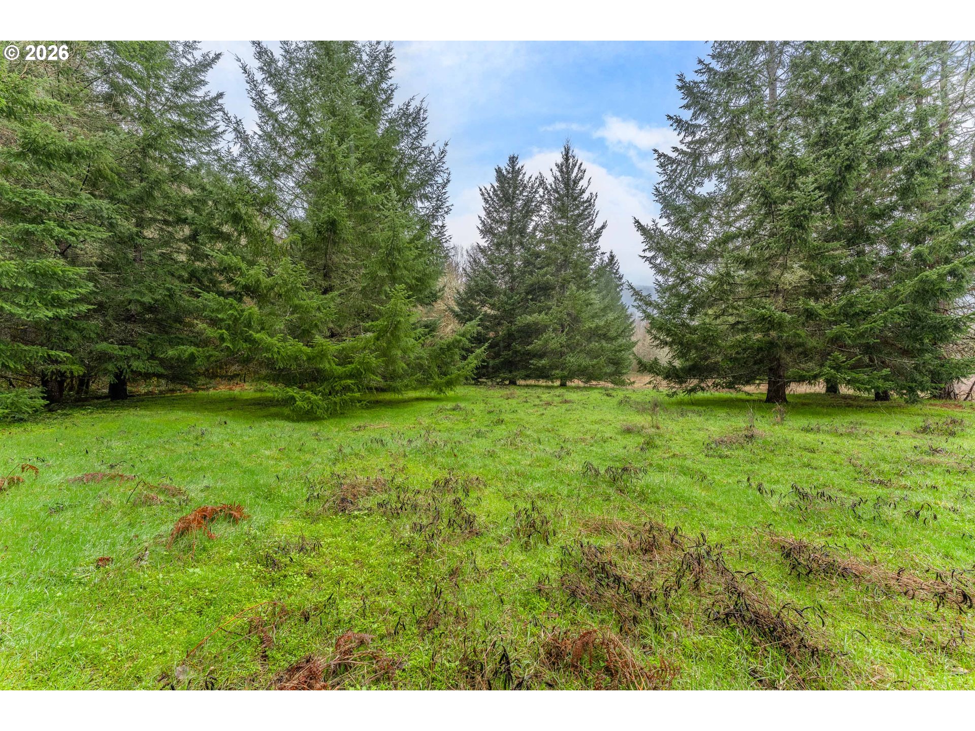 Upper Cow Creek Rd Property Photo 14