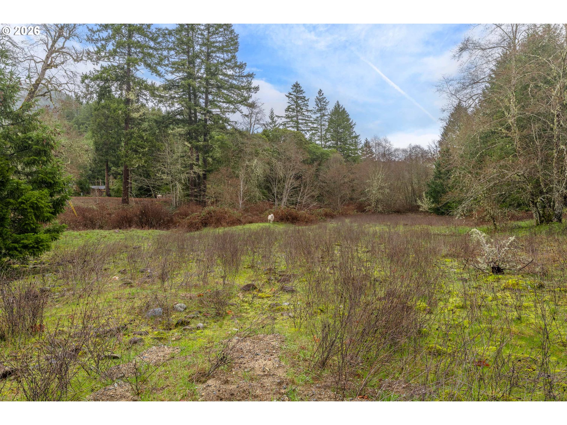 Upper Cow Creek Rd Property Photo 21