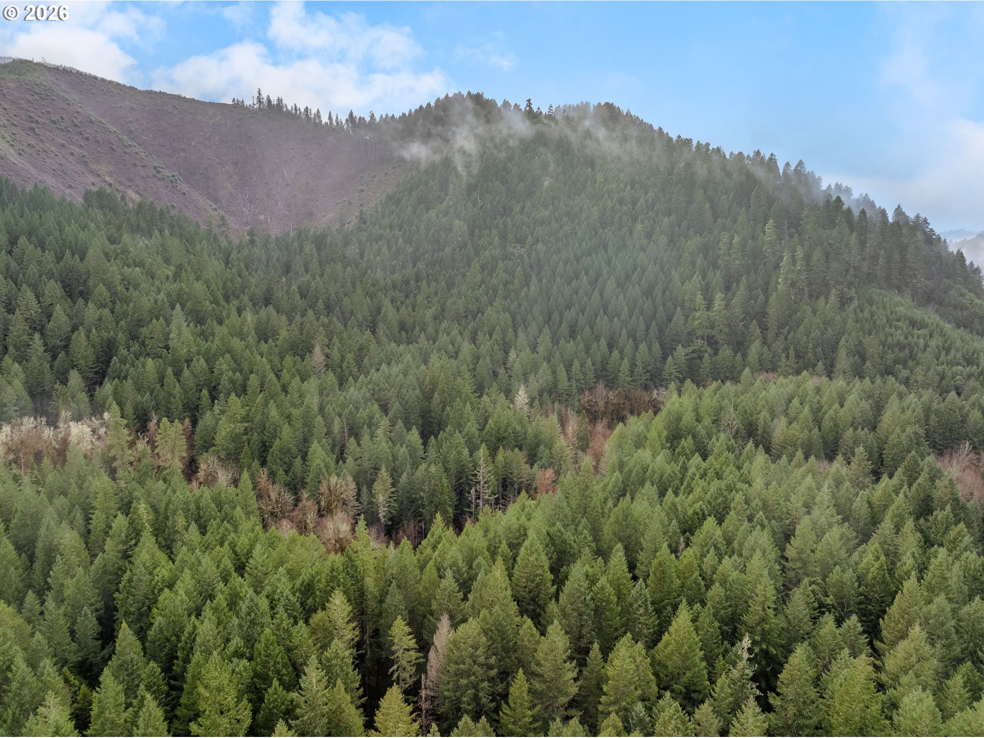 Upper Cow Creek Rd Property Photo 27