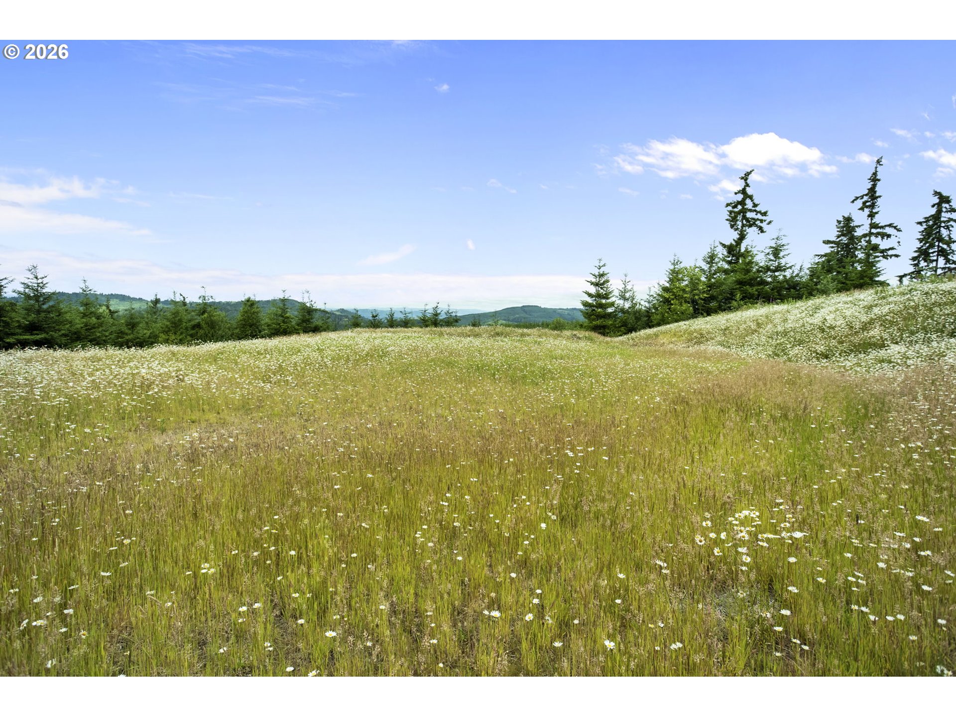 104 BOOTJACK LN Property Photo 1