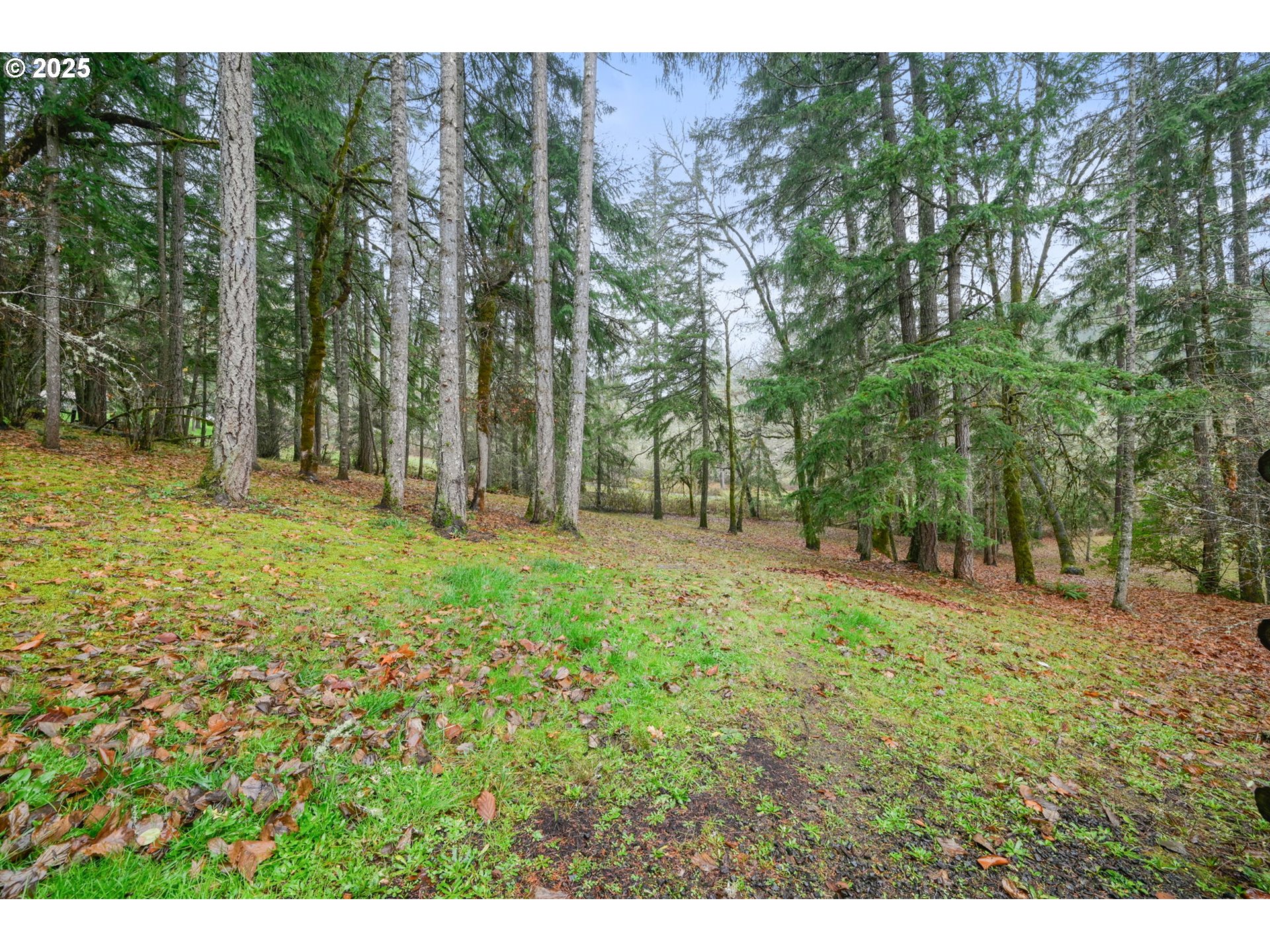 28198 Briggs Hill Rd Property Photo 43
