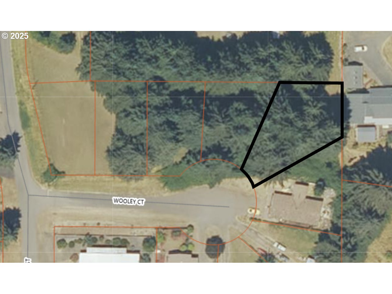 1019 Wooley Ct Property Photo 1