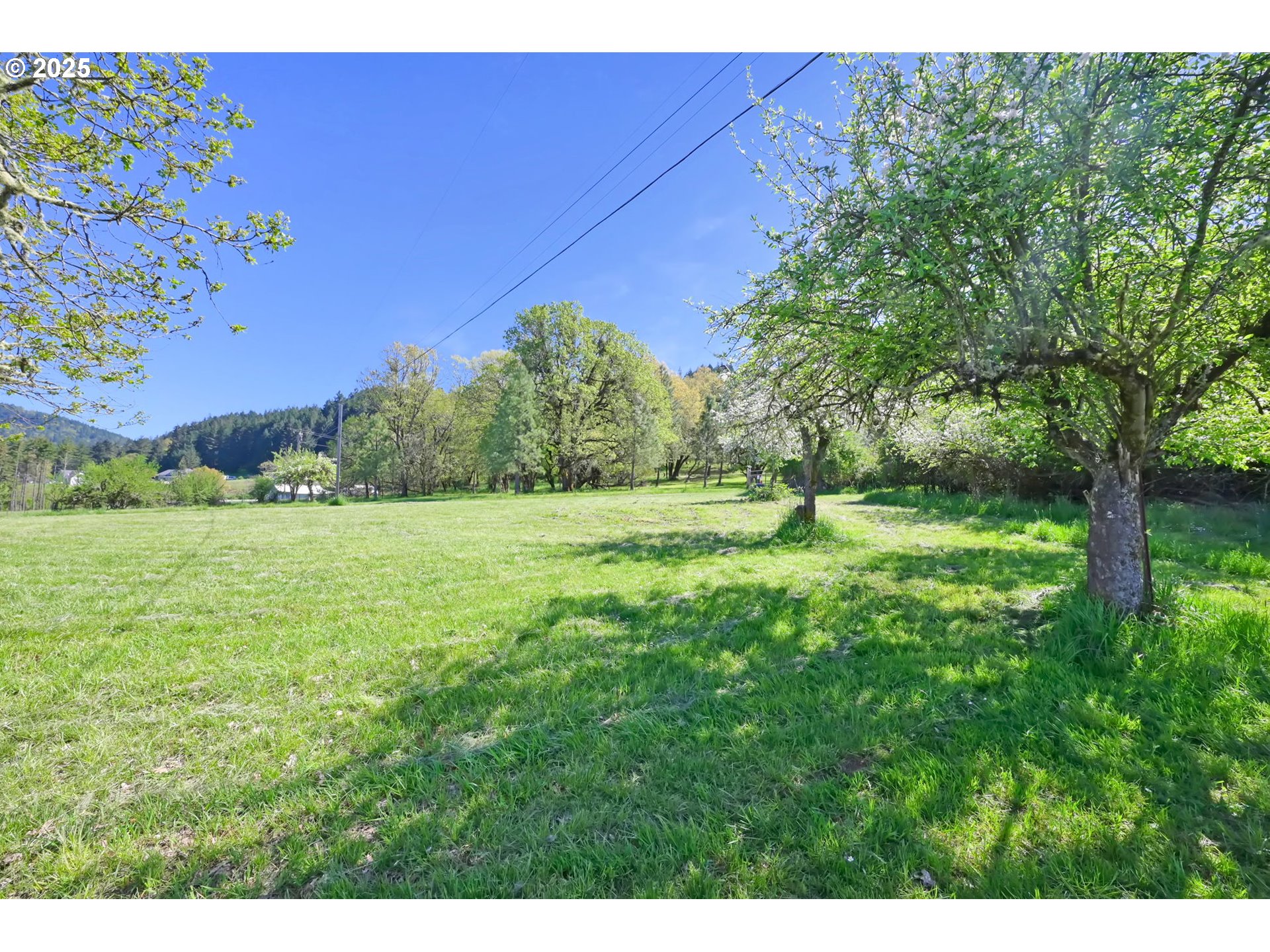 1878 Trails End Ln Property Photo 35