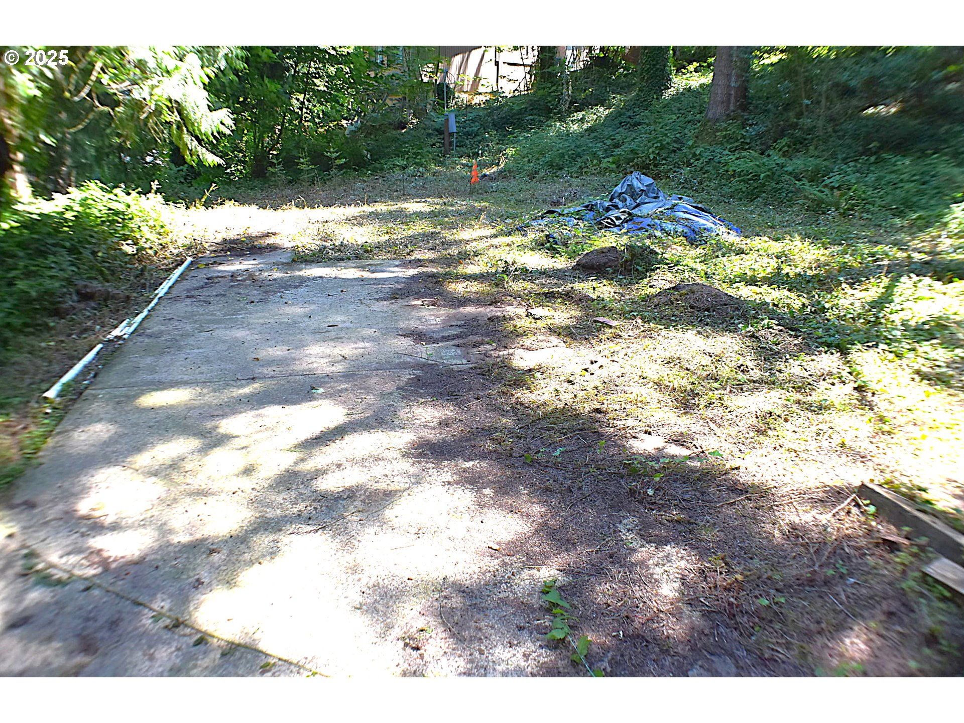 87835 Upland St Property Photo 5