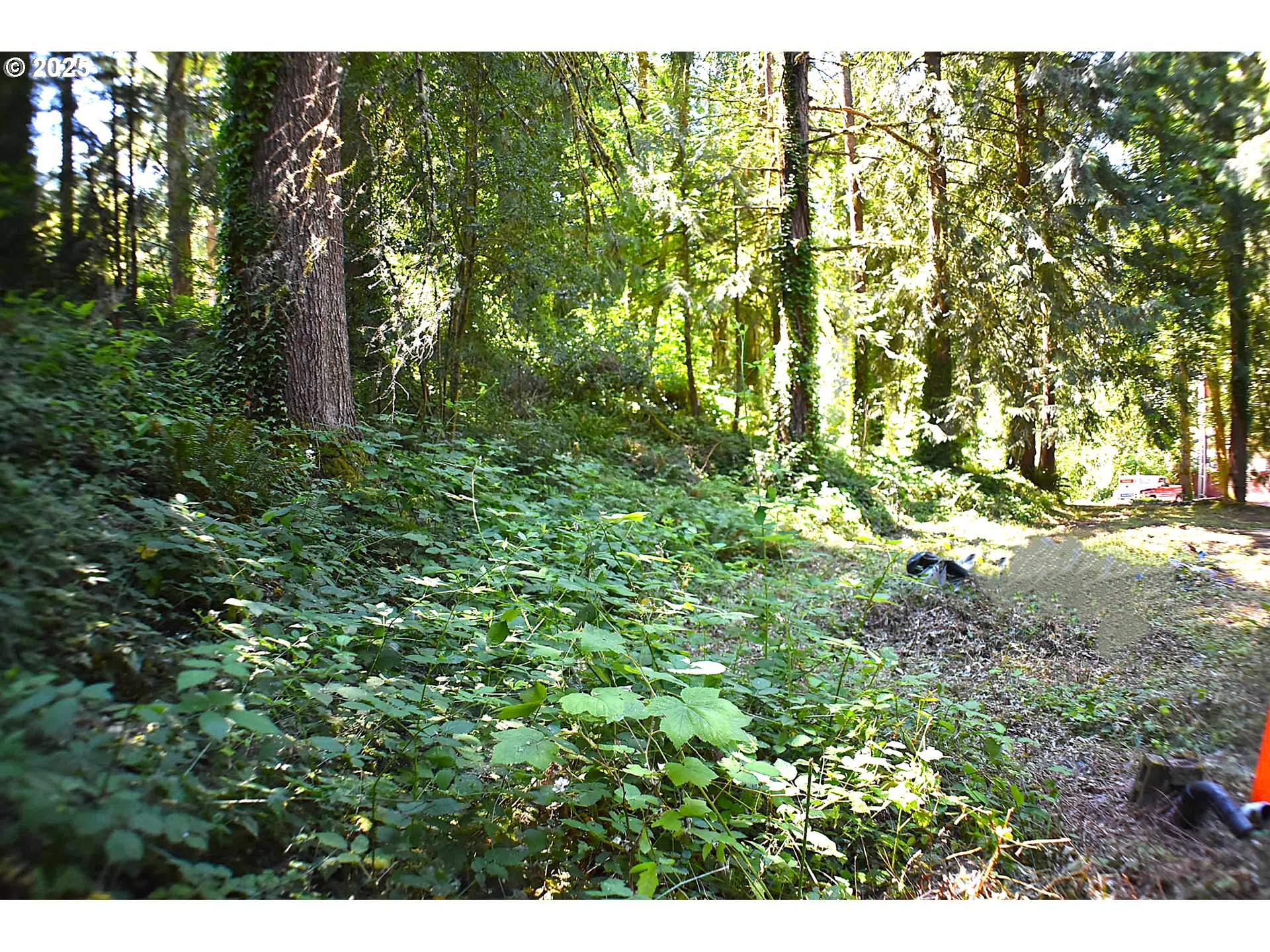 87835 Upland St Property Photo 8