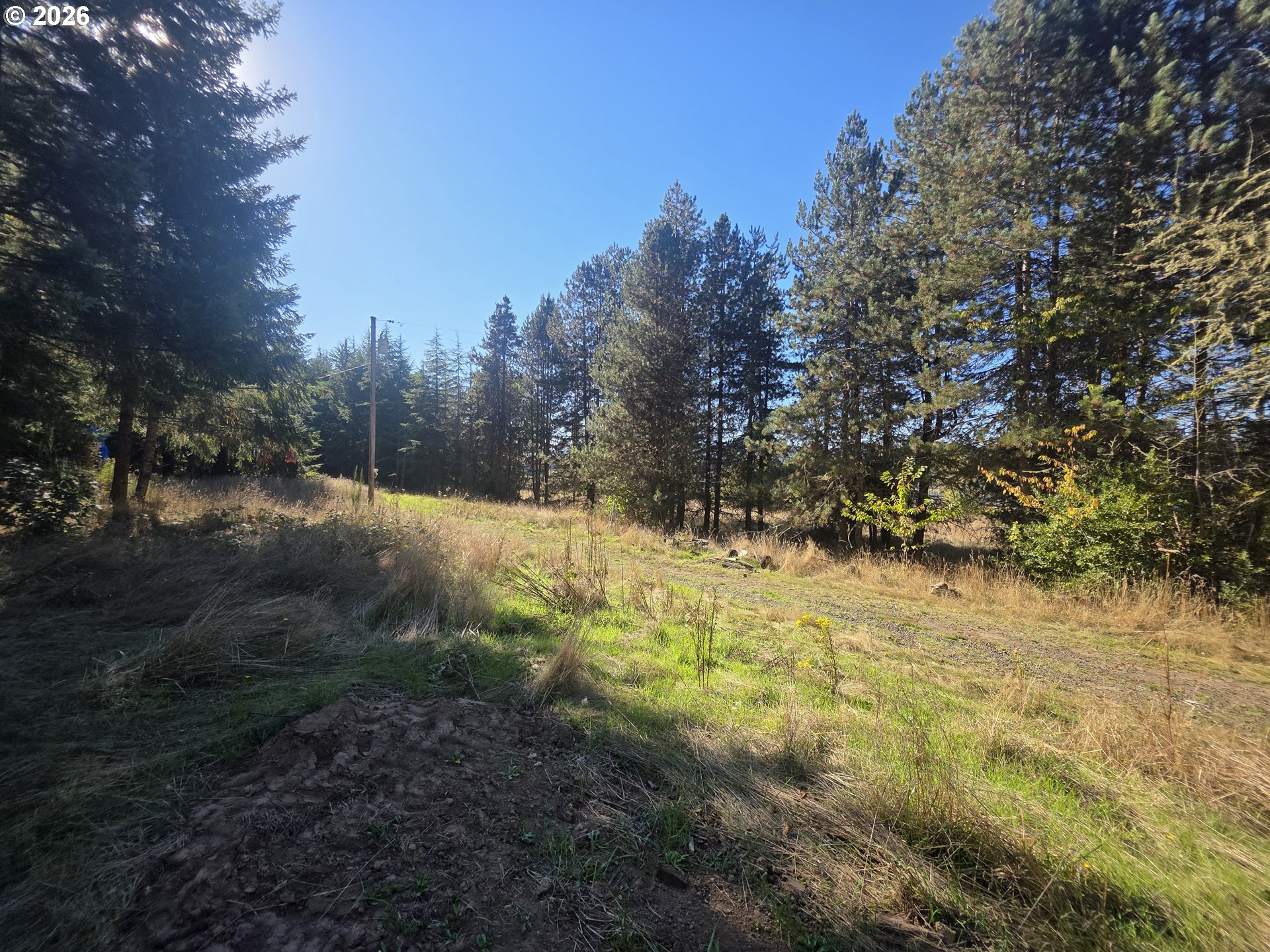 4240 Sw Fern Hill Rd Property Photo 12