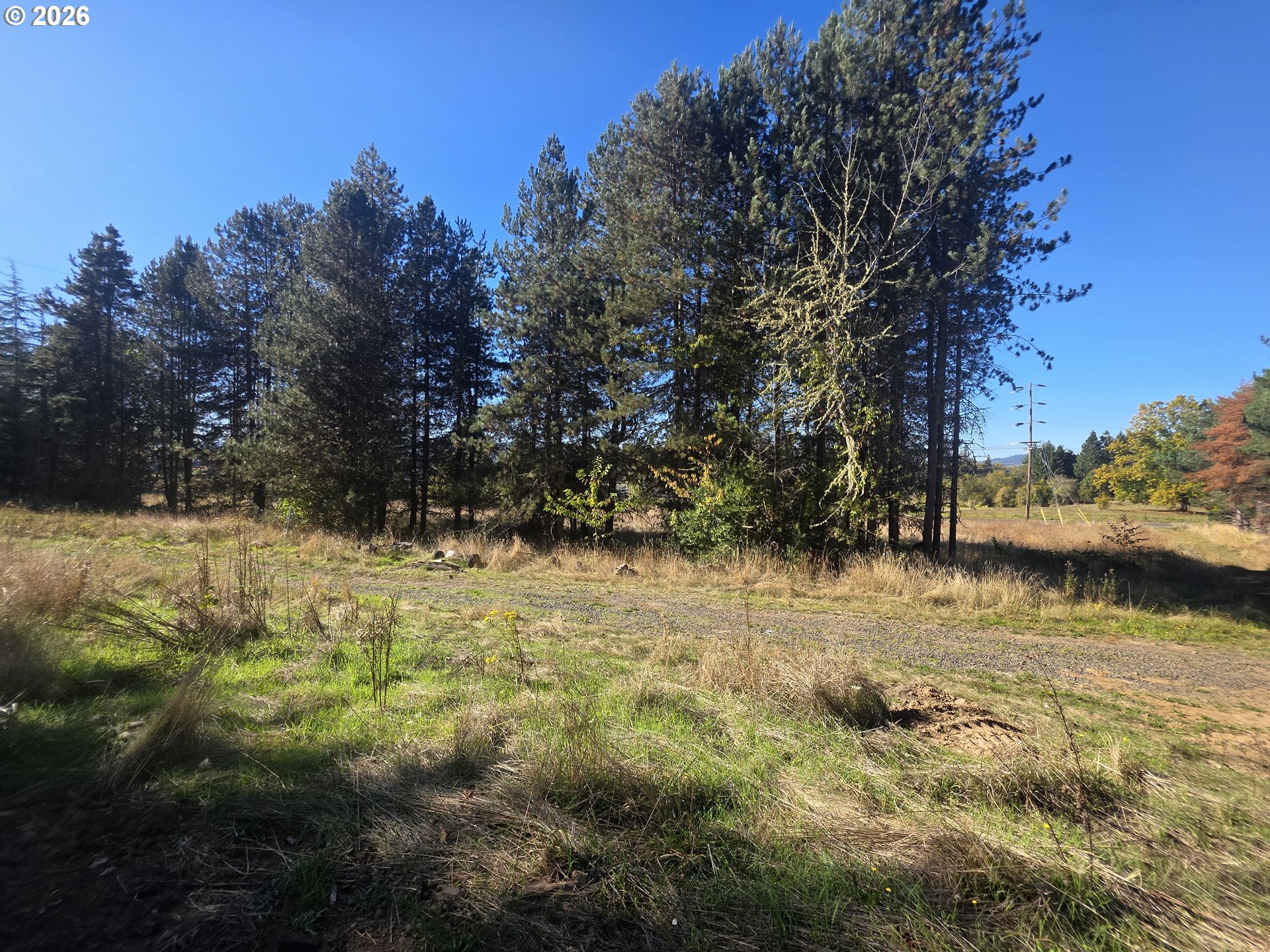 4240 Sw Fern Hill Rd Property Photo 13