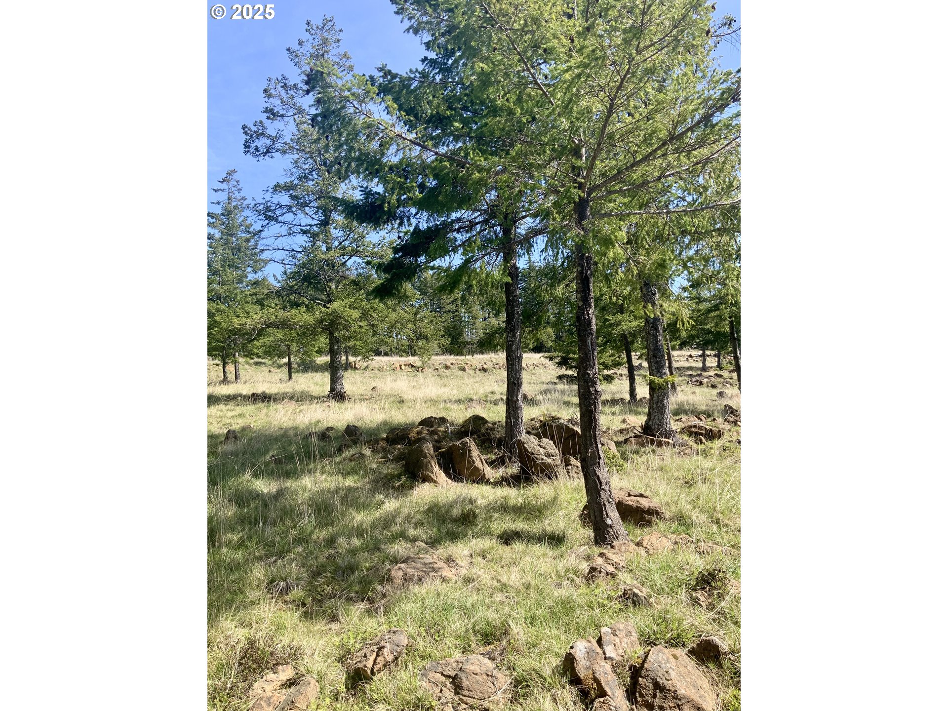 95645 SPIRIT RIDGE RD