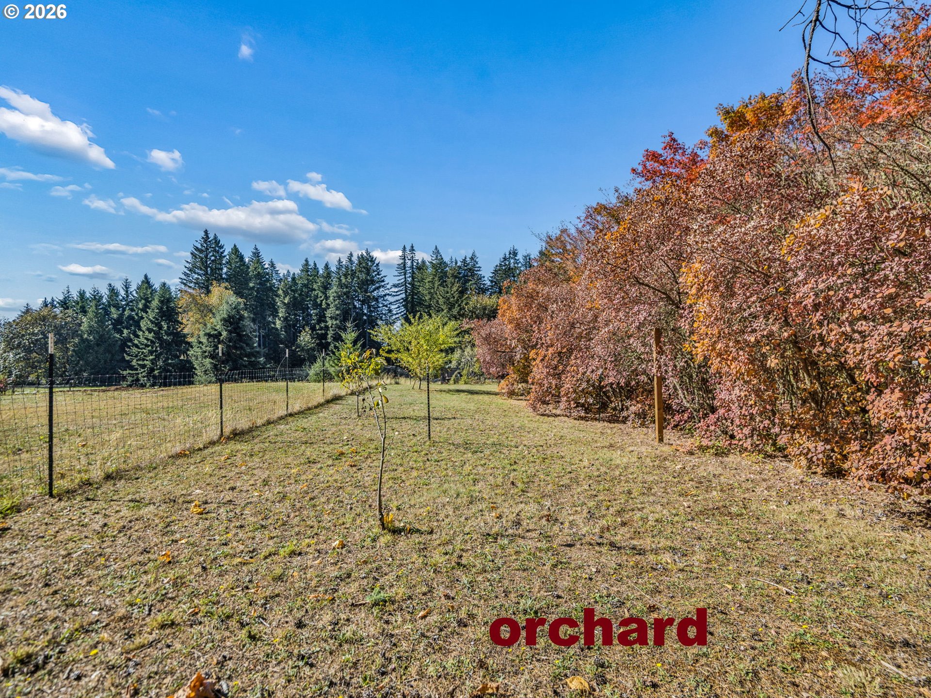 35211 Se Surface Rd Property Photo 39
