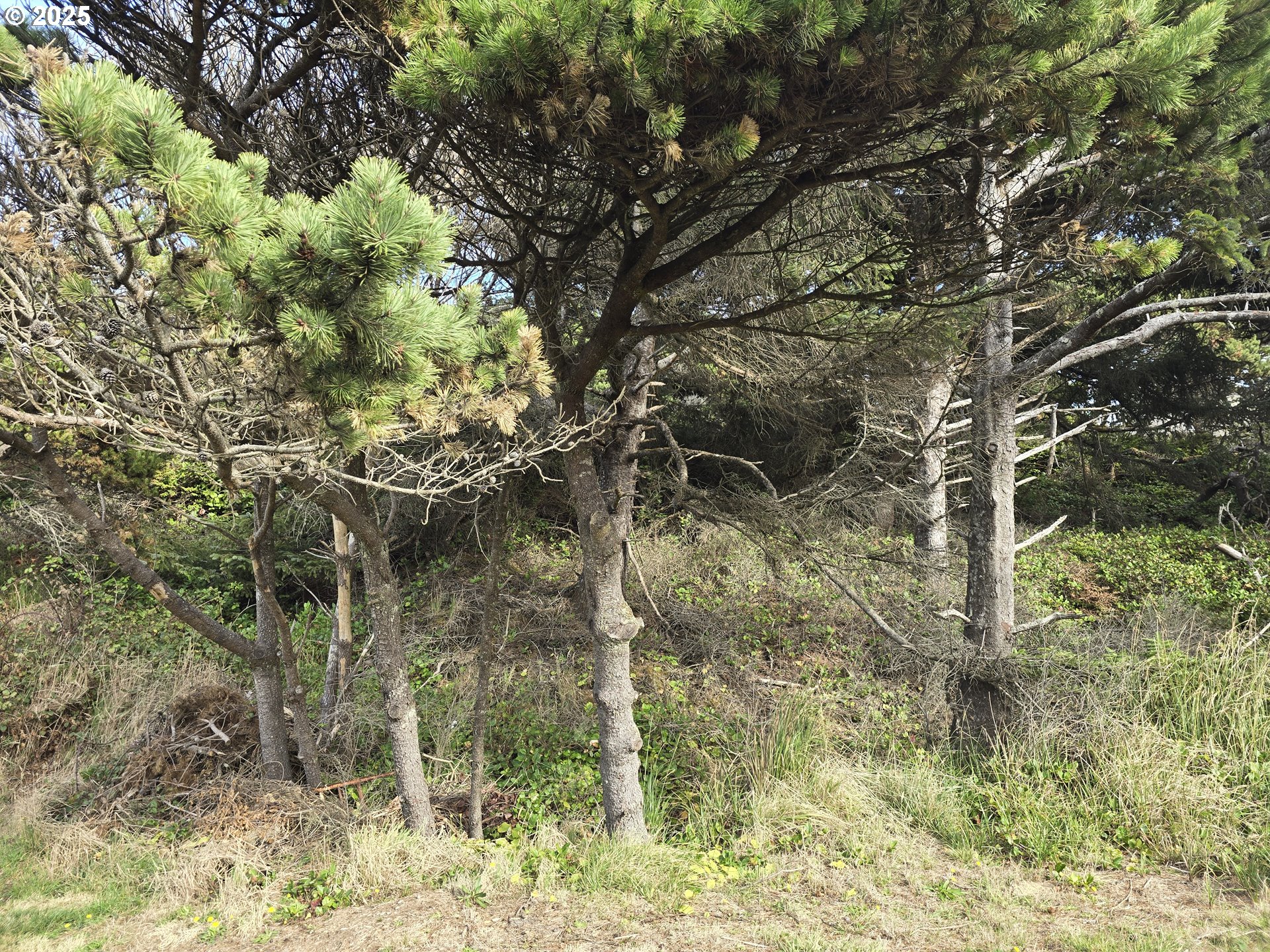 0 Lookout St 1 Property Photo 7