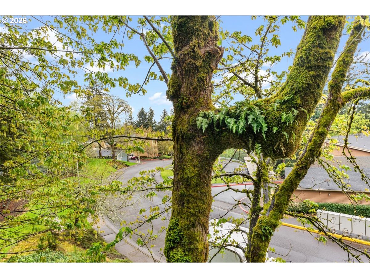 10160 Se Talbert St Property Photo 23