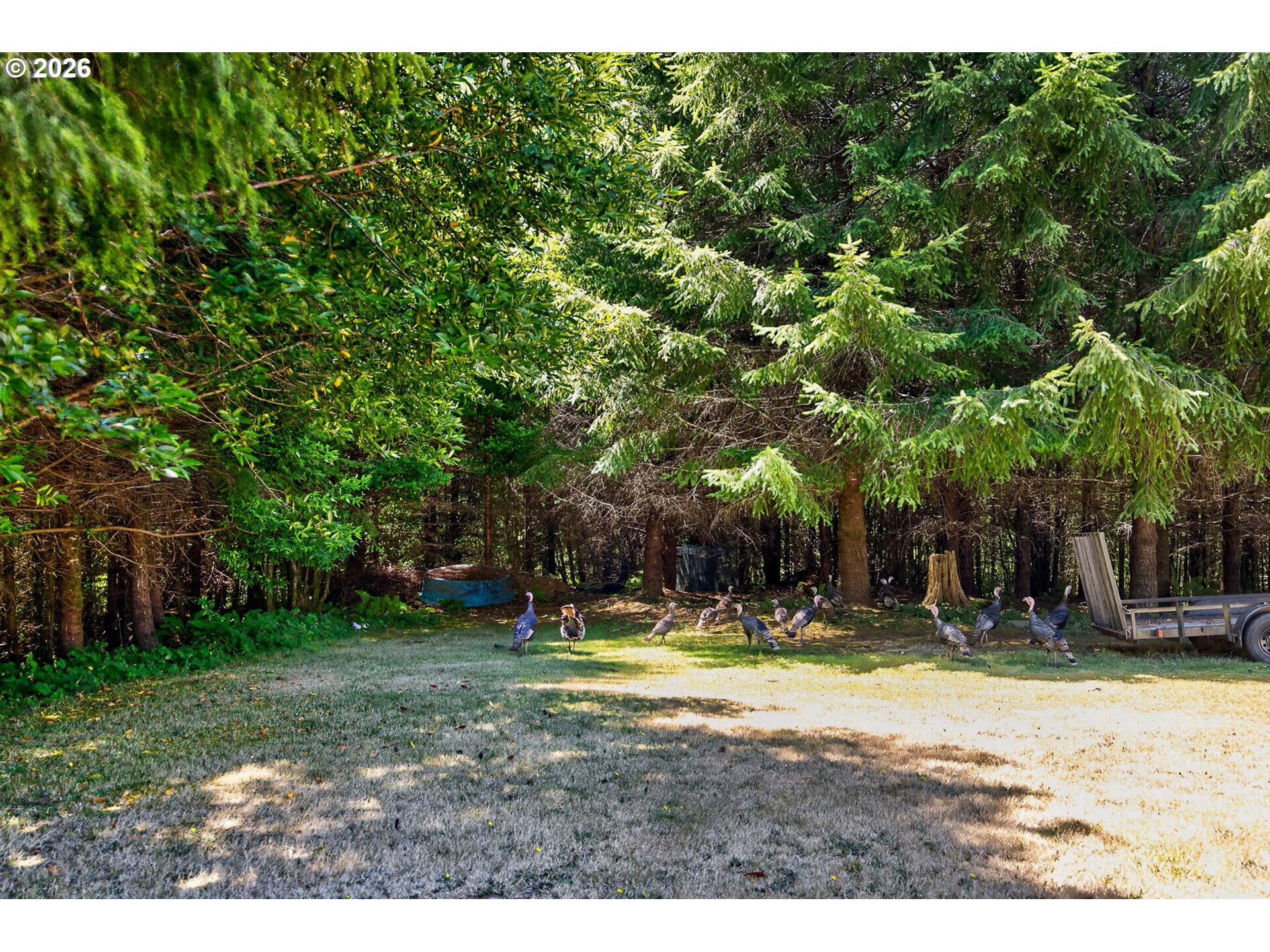 98654 Culbertson Ln Property Photo 27