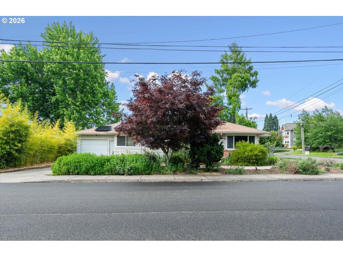 303 Mill St Property Photo 28